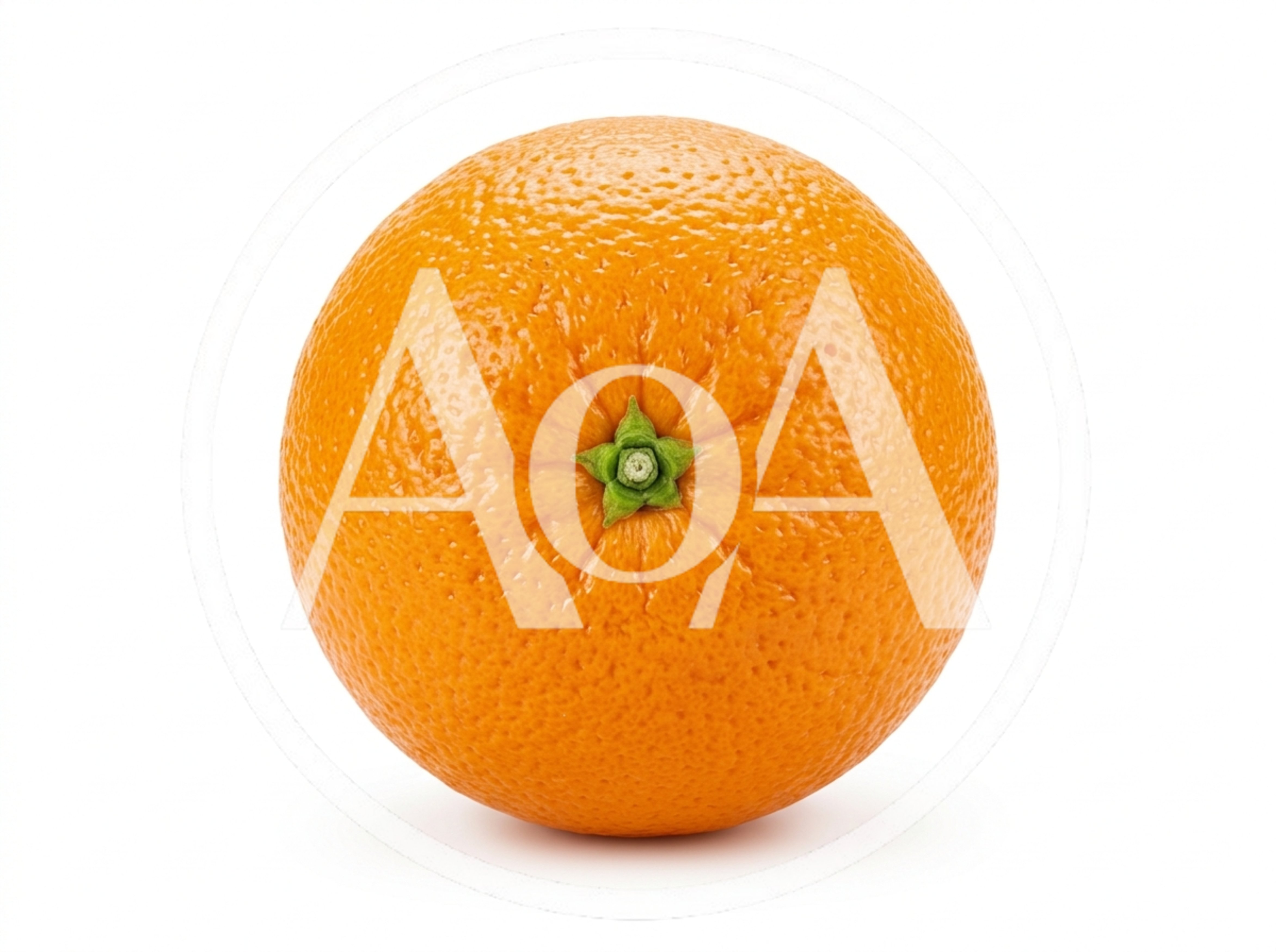 Single Fresh Orange Fruit Isolated On White Background