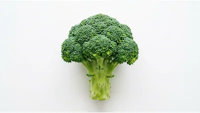 Fresh Green Broccoli Head Isolated On White Background