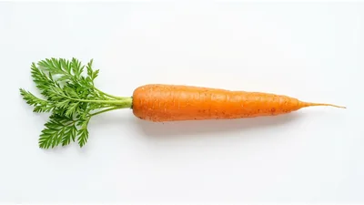 Fresh Whole Carrot With Green Tops