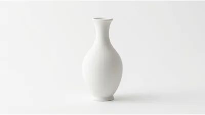 Minimalist White Ceramic Vase On White Background
