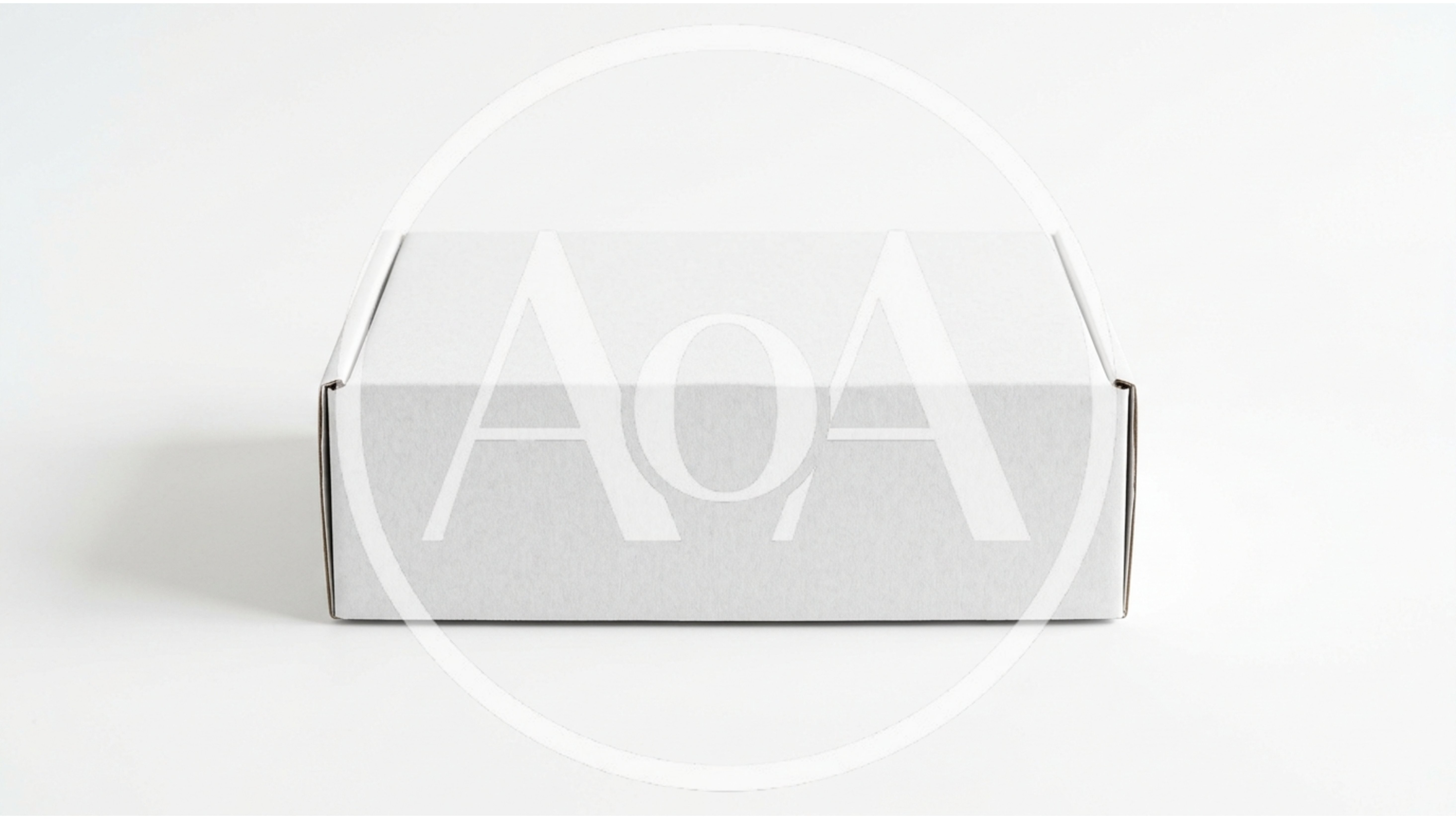 Blank White Cardboard Shipping Box