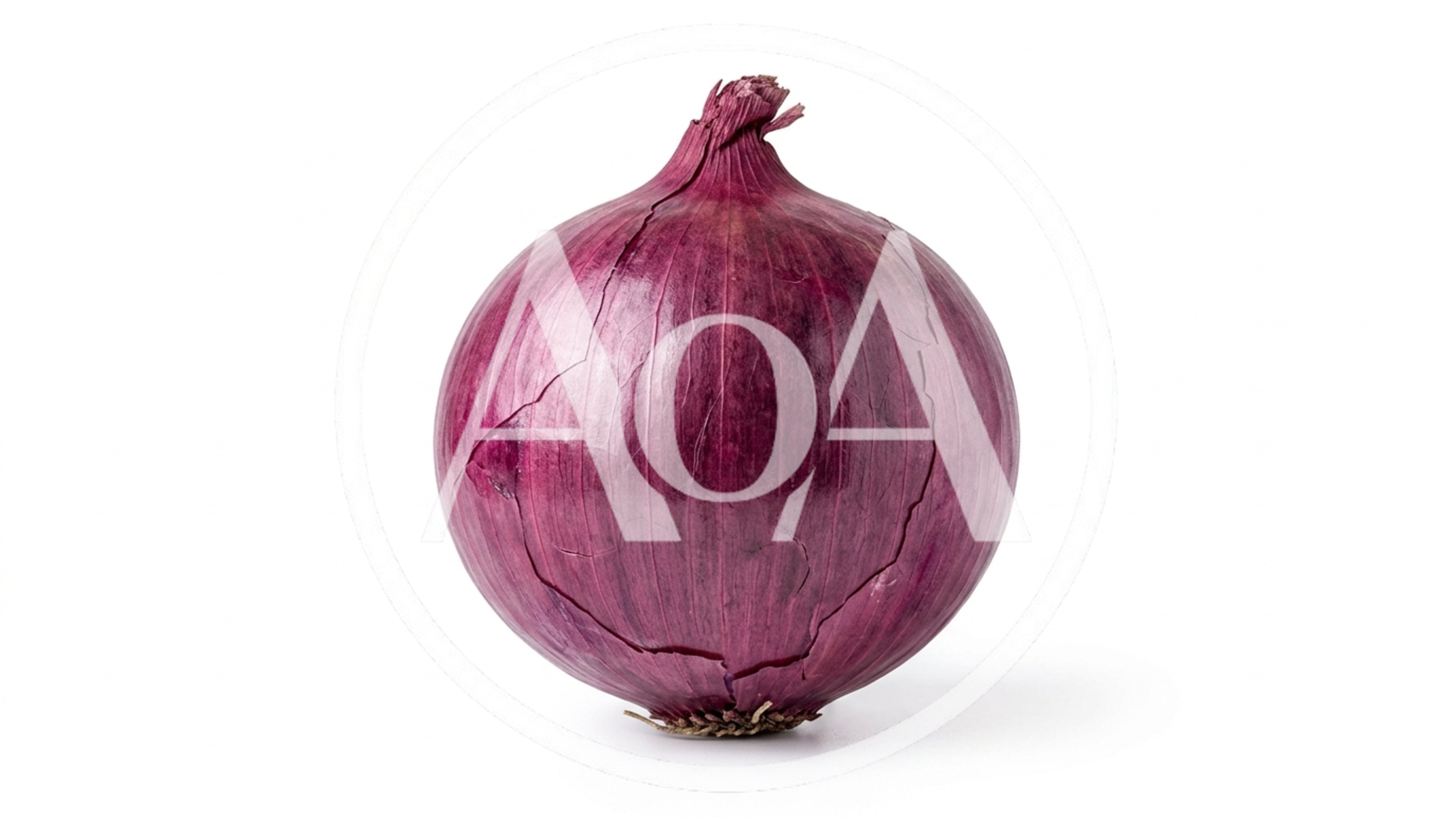 Single Whole Red Onion Isolated On White Background