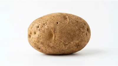 Single Raw Russet Potato on White Background