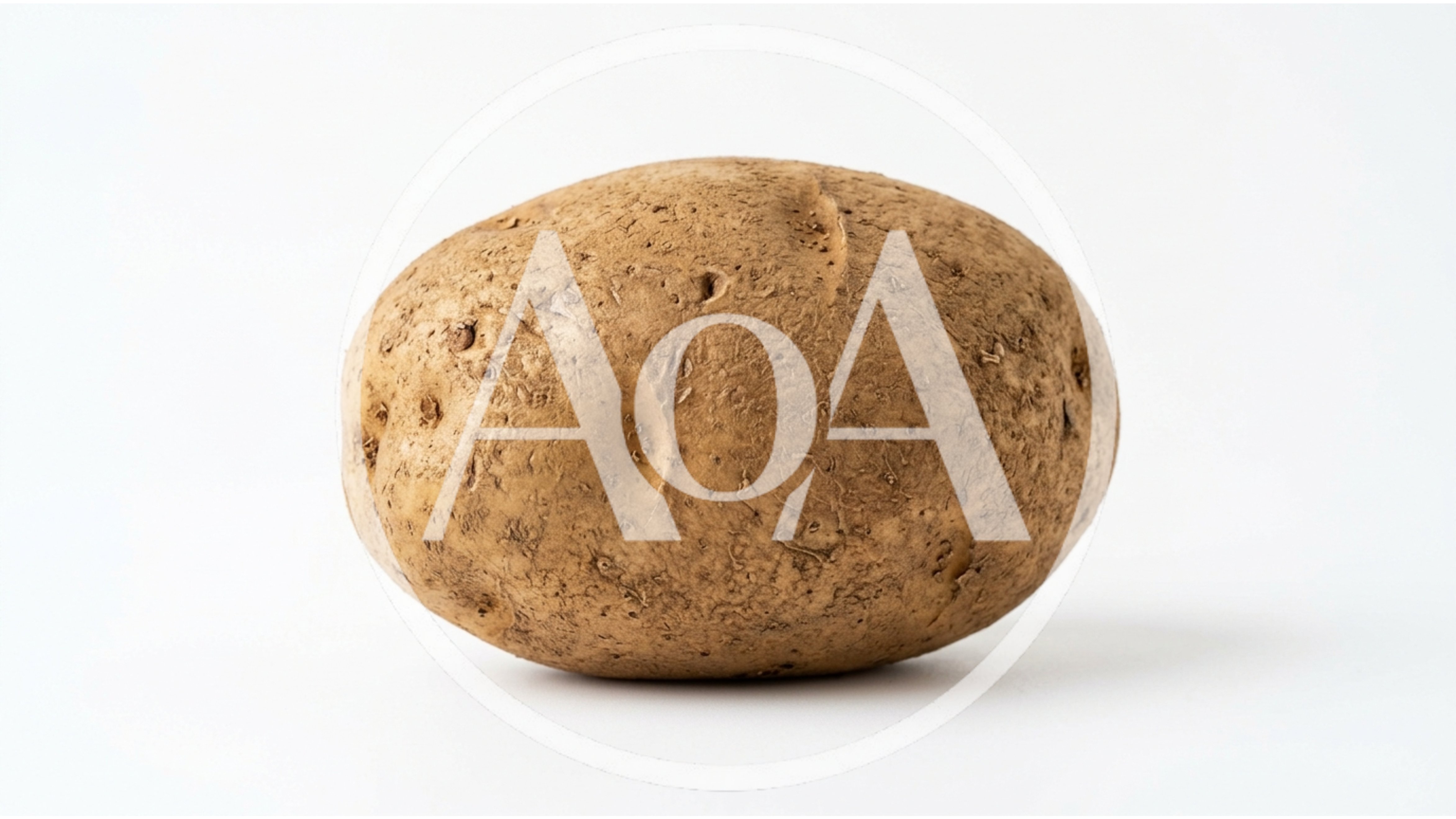 Single Raw Russet Potato on White Background