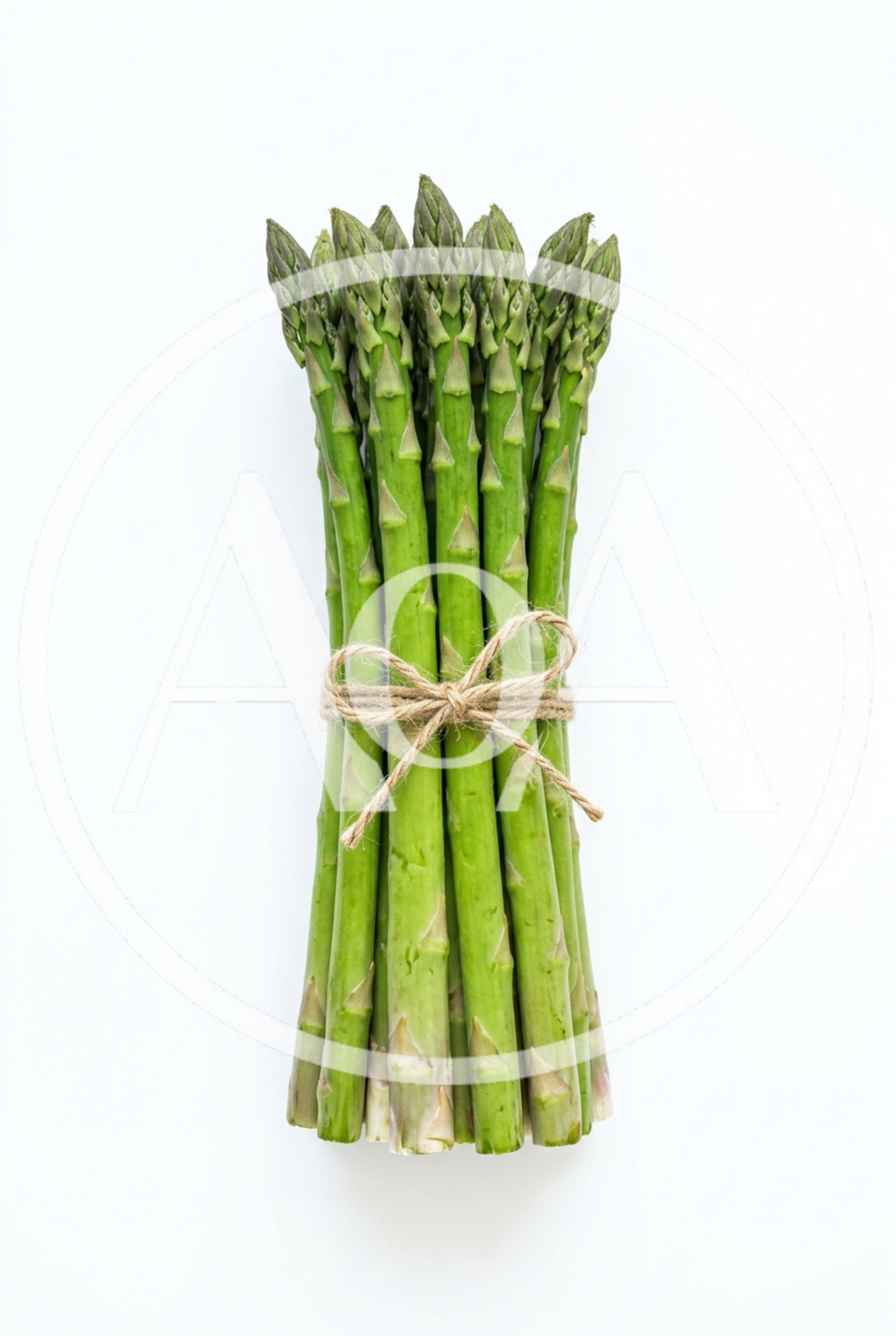 Fresh Green Asparagus Spears Tied With Twine