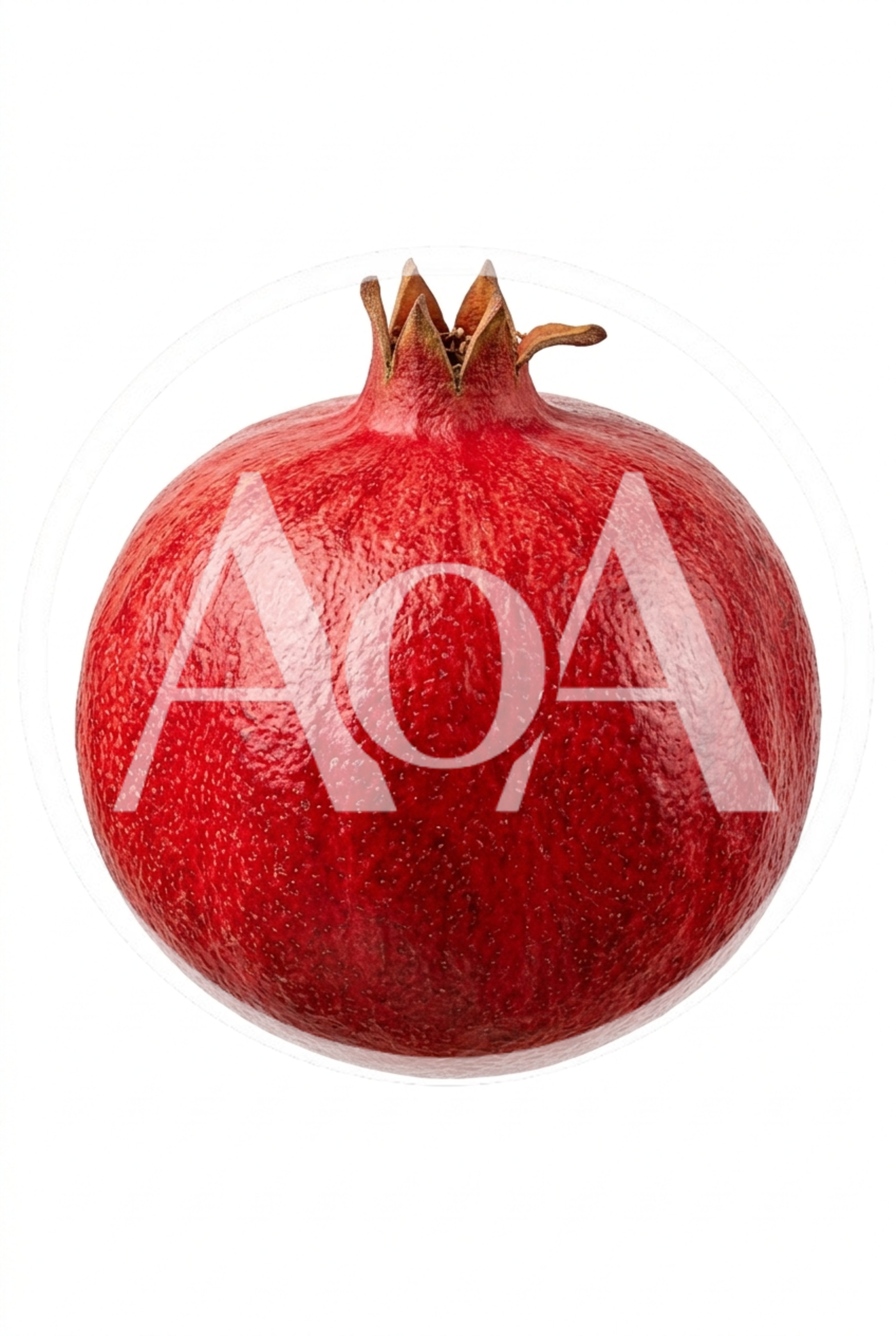 Single Fresh Red Pomegranate Fruit Isolated On White