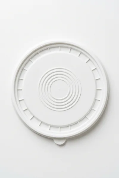 White Plastic Container Lid On White Background
