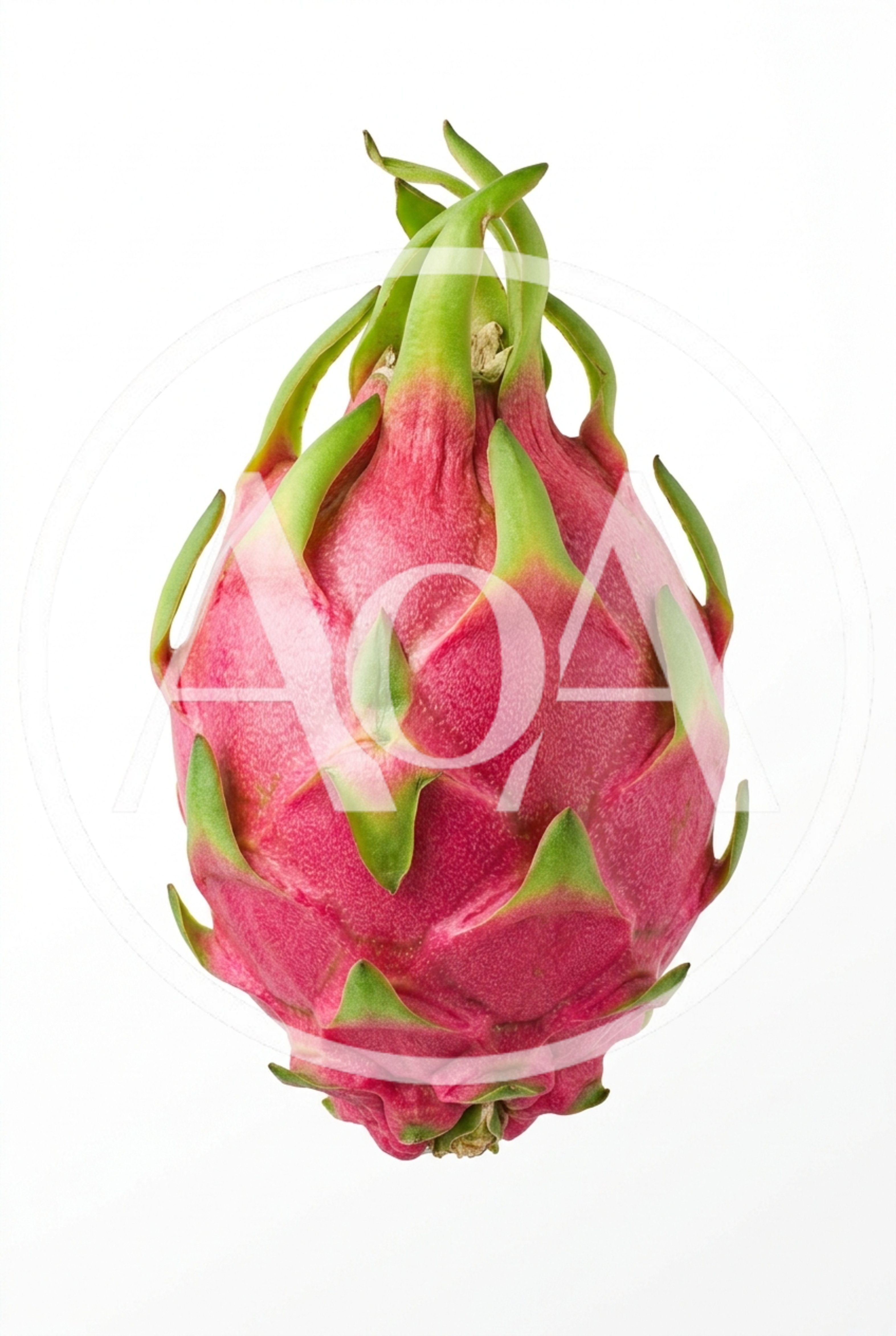 Fresh Whole Dragon Fruit Isolated On White Background