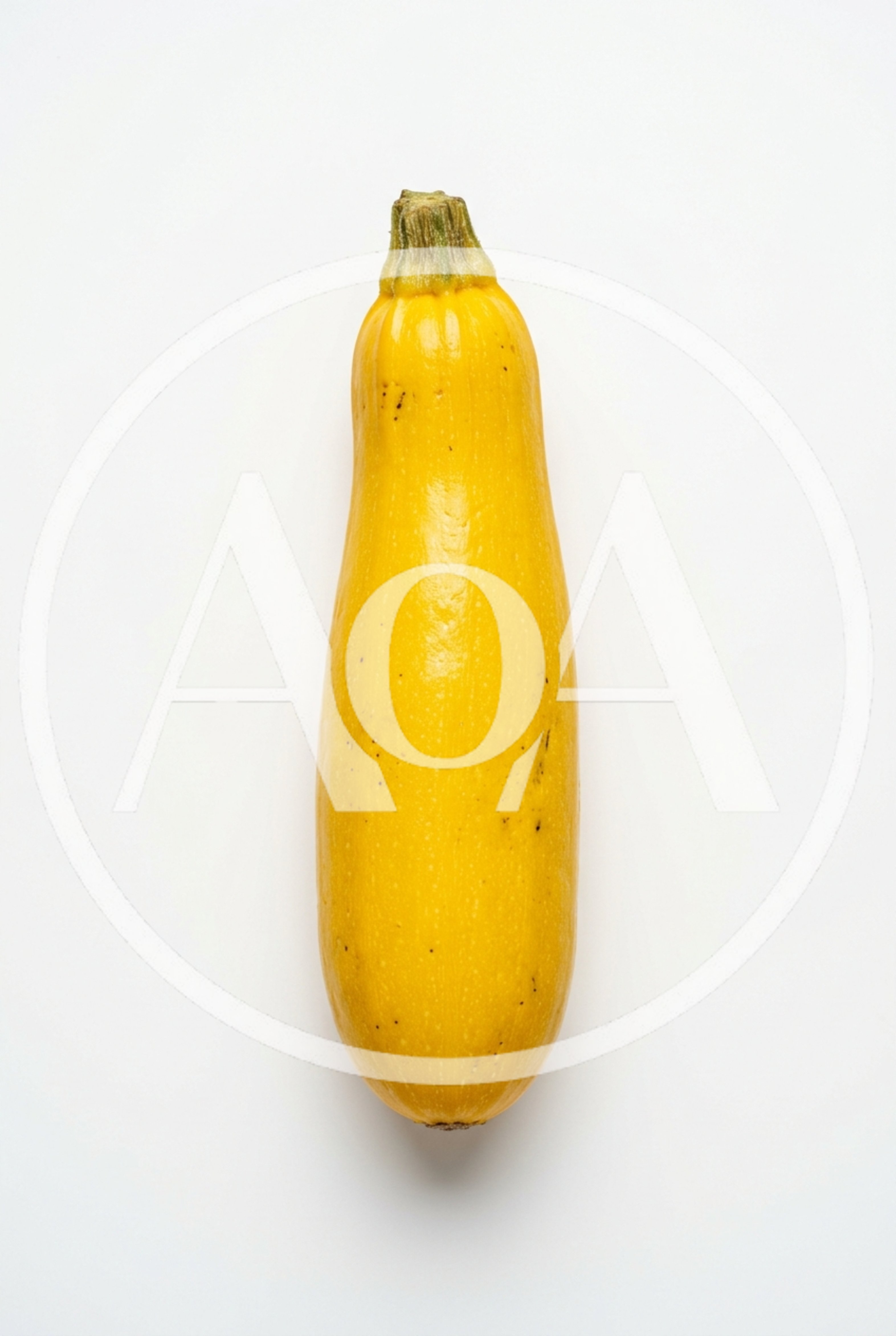 Single Fresh Yellow Summer Squash on White Background