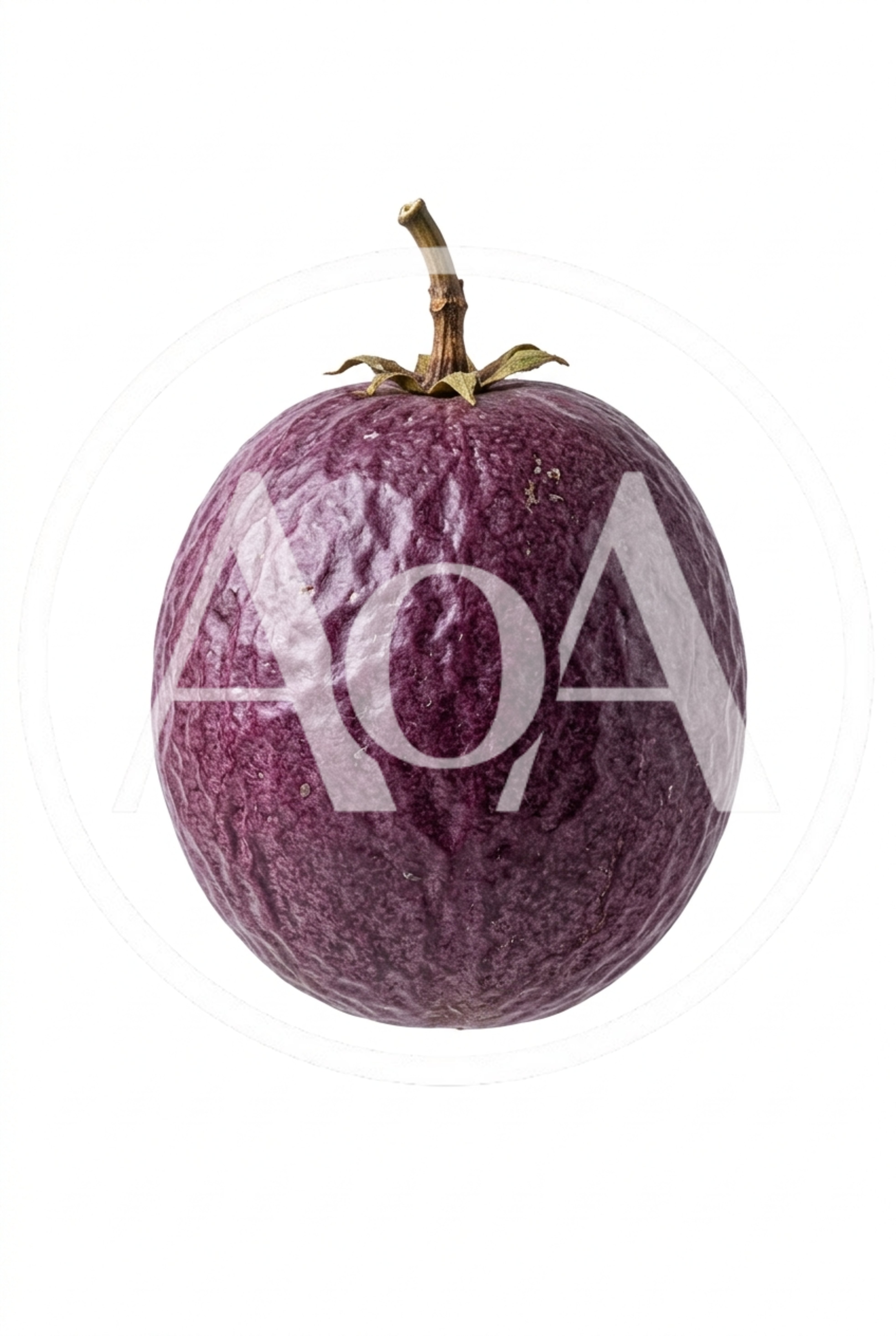 Single Ripe Purple Passion Fruit Isolated