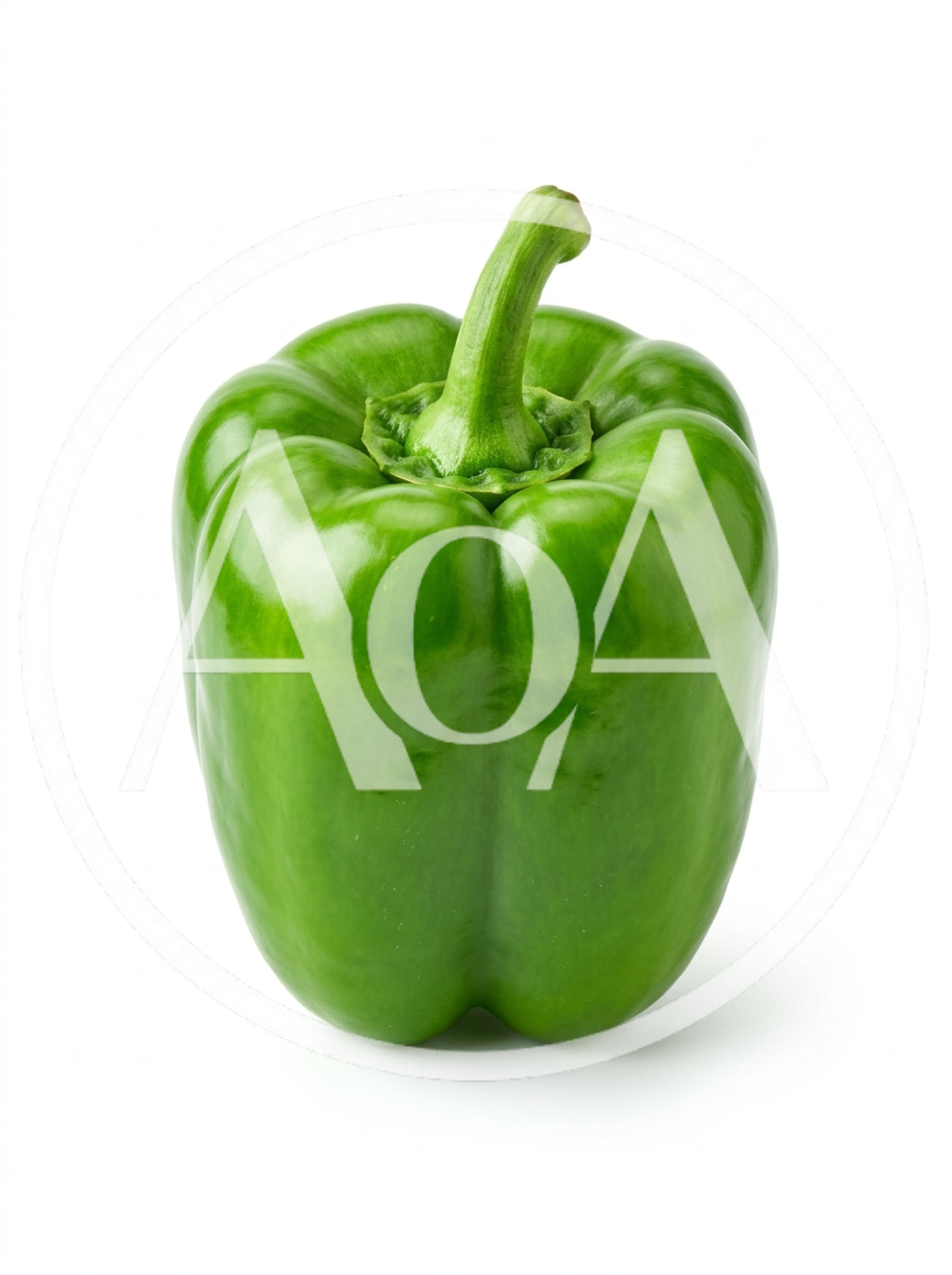 Single Fresh Green Bell Pepper Isolated On White