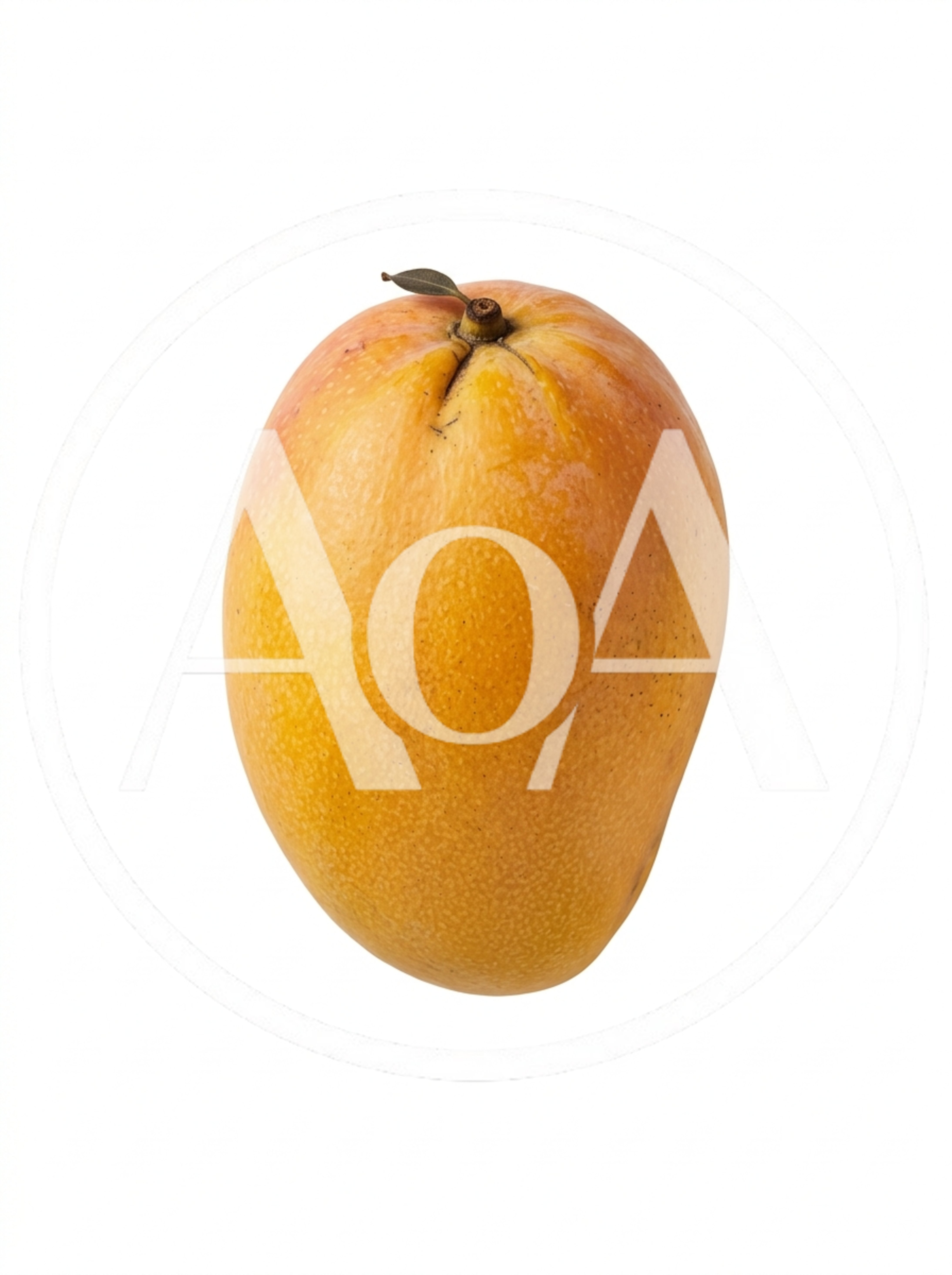 Single Ripe Mango Fruit Isolated On White Background