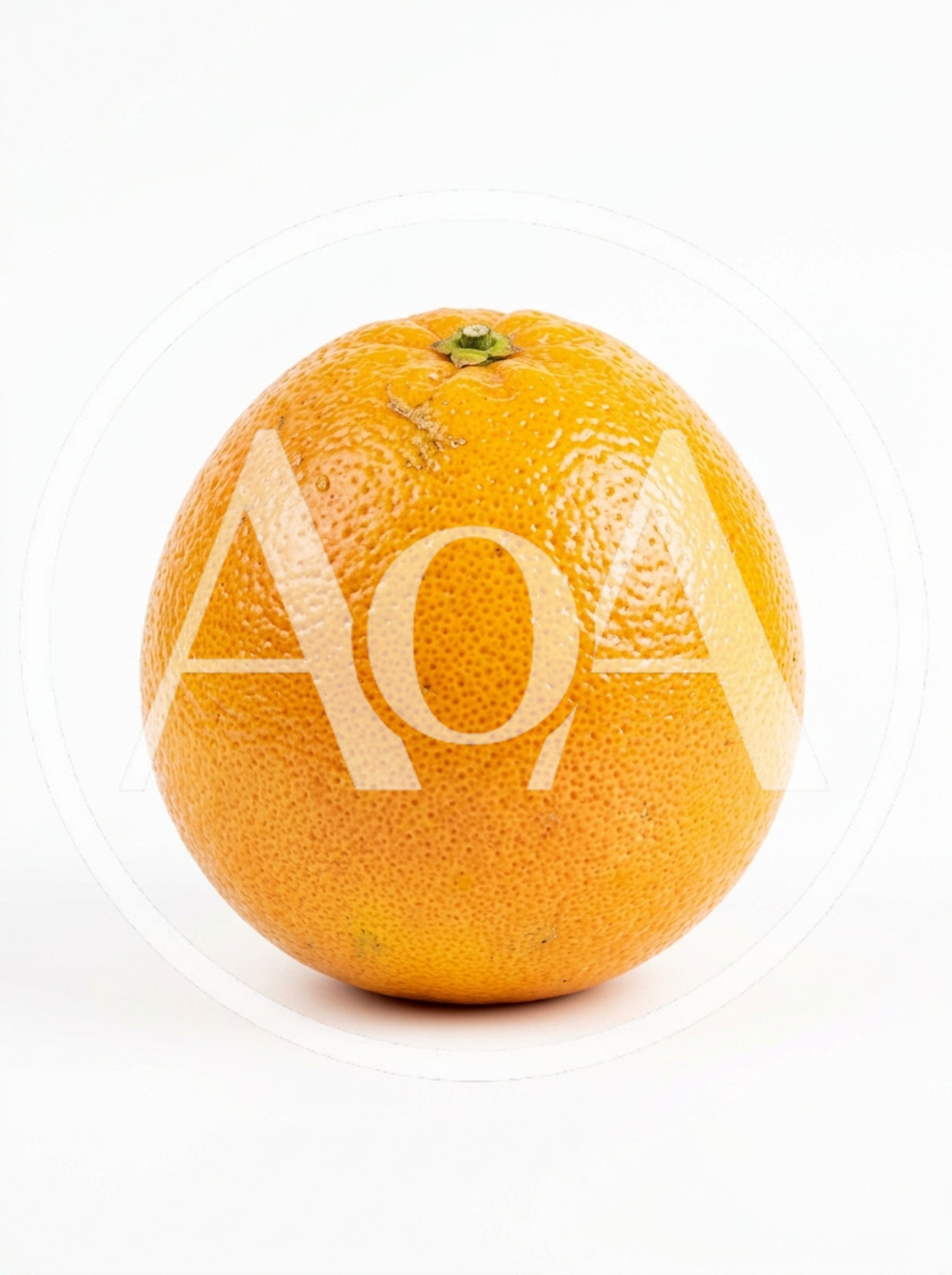 Single Fresh Ripe Orange Fruit