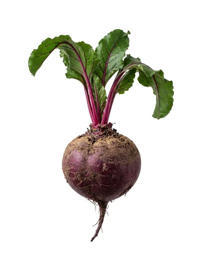 Fresh Whole Beetroot With Green Leaves Isolated