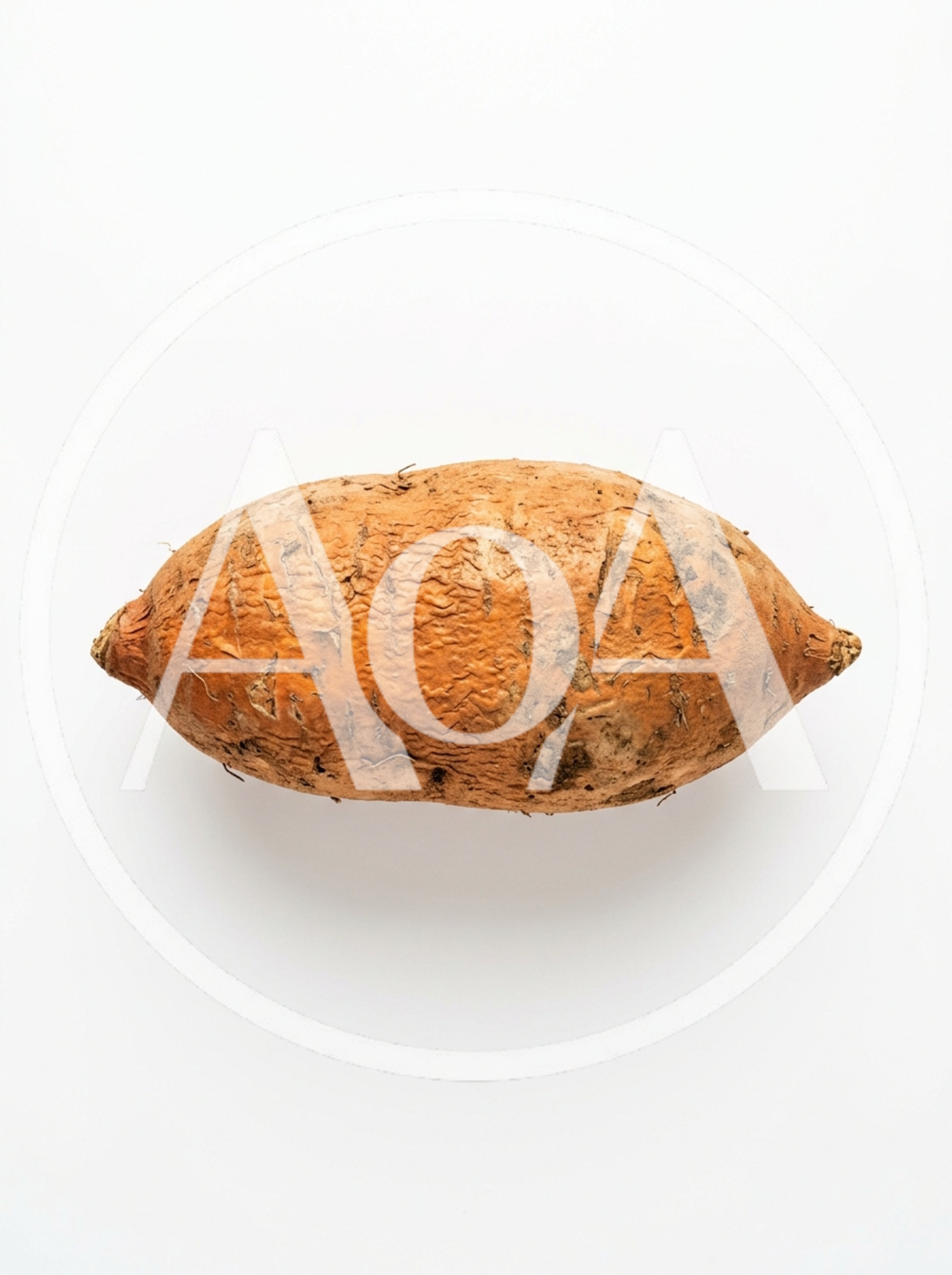 Single Raw Sweet Potato On White Background