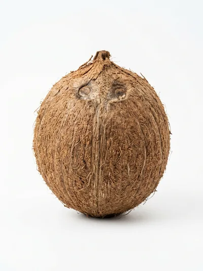 Single Whole Brown Coconut Isolated On White Background