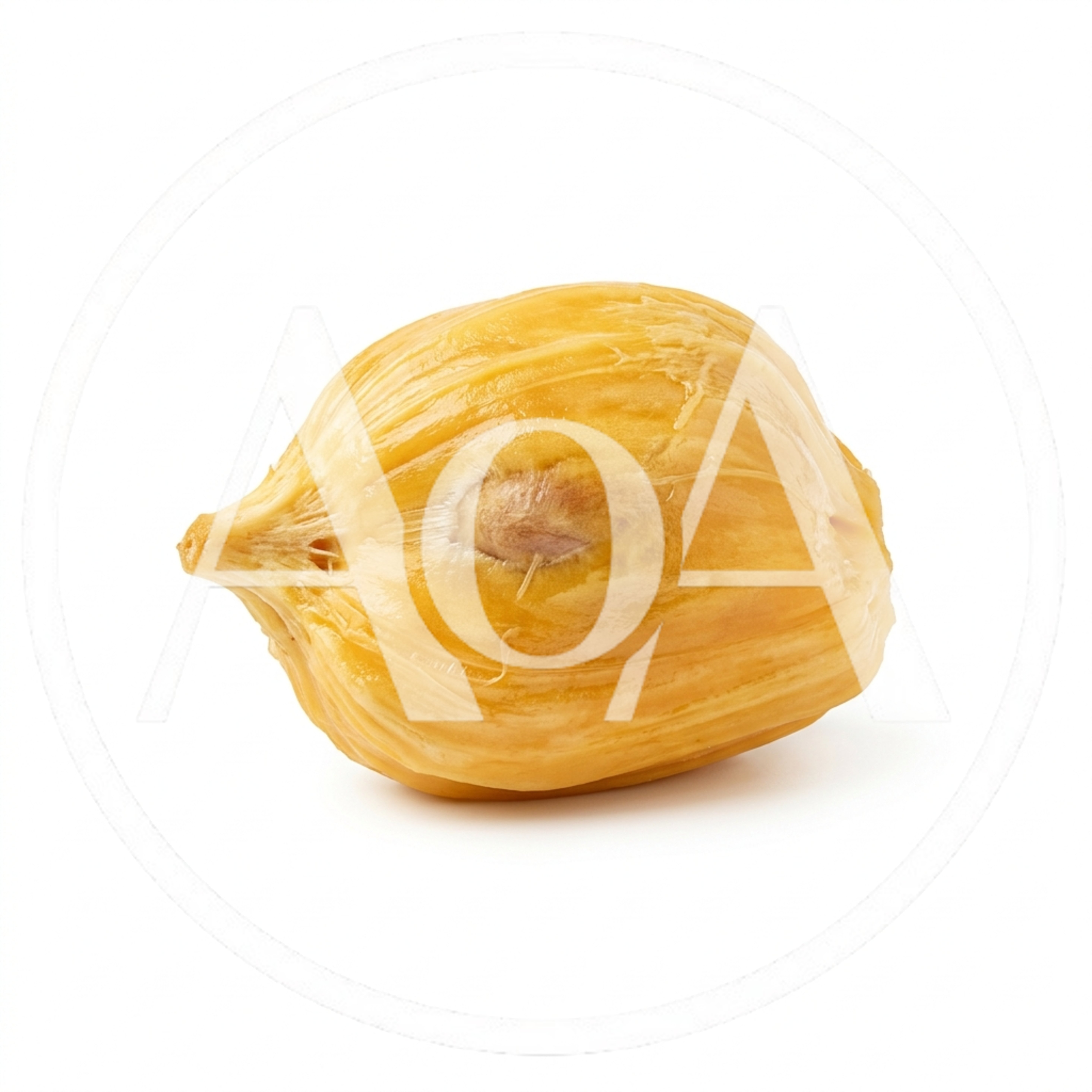 Single Ripe Jackfruit Bulb Isolated on White Background