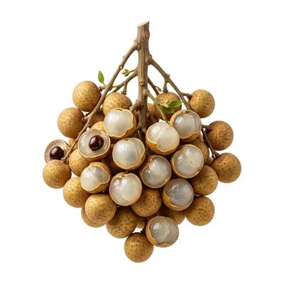 Fresh Longan Fruit Cluster Isolated On White Background