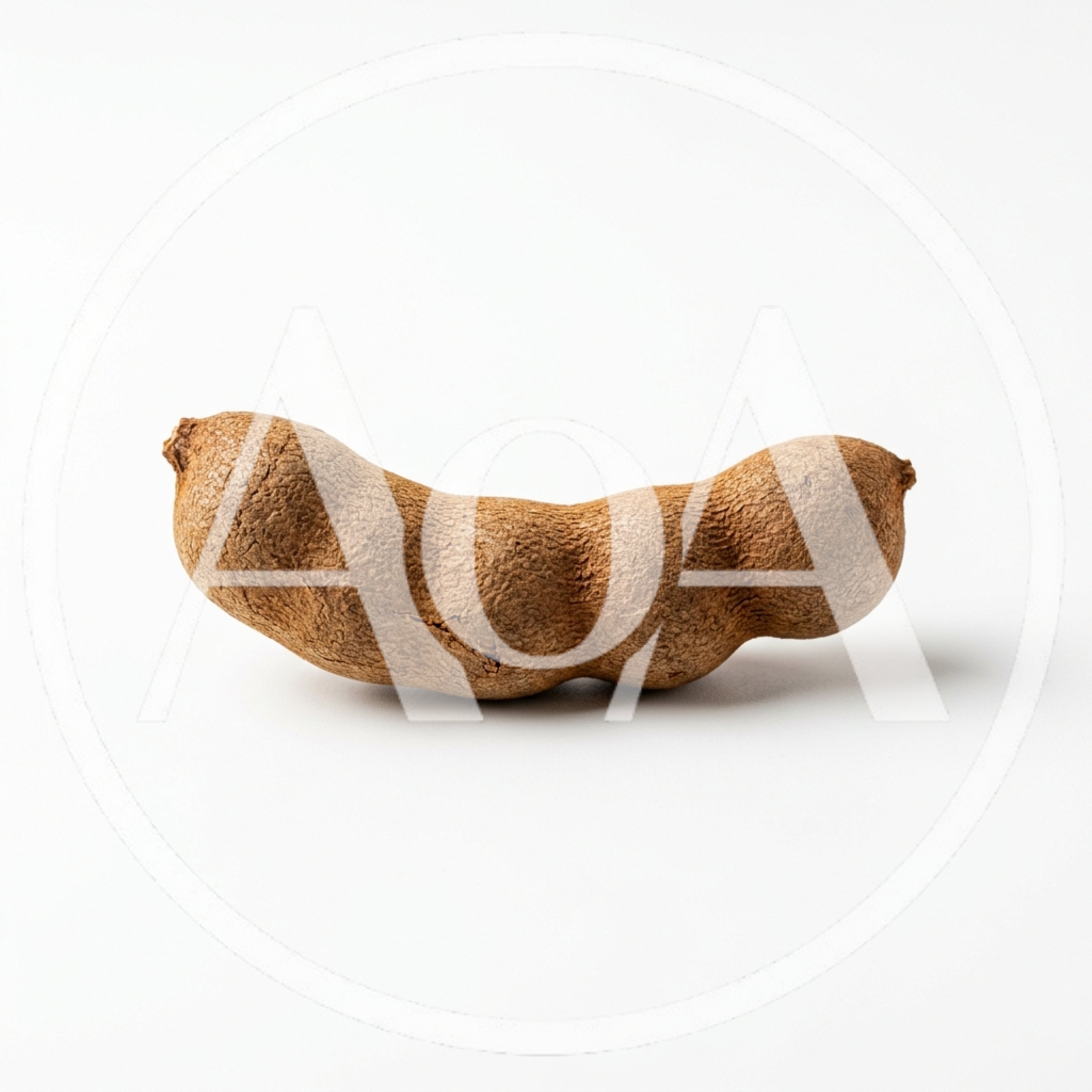 Single Whole Tamarind Pod on White Background