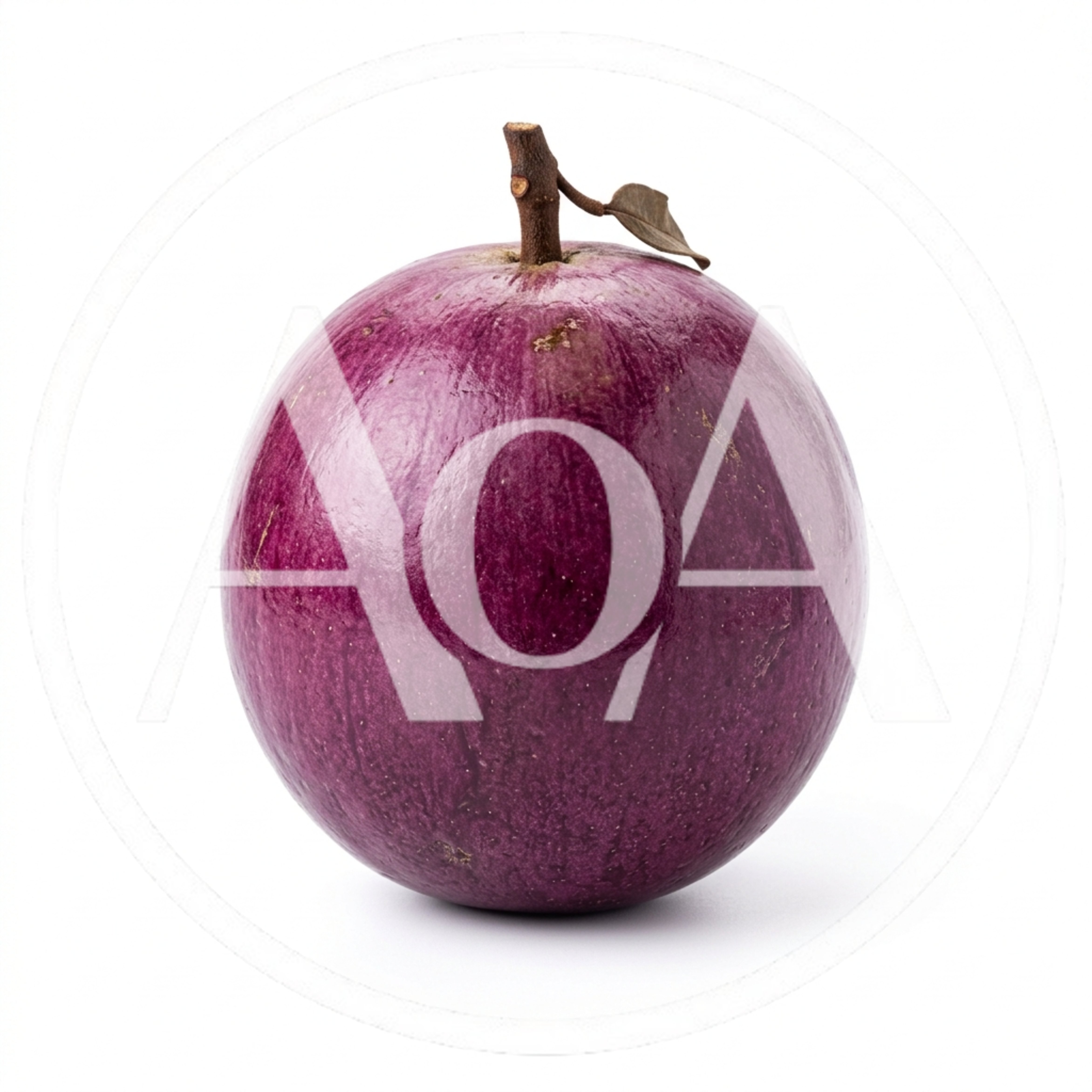Single Ripe Purple Star Apple Fruit