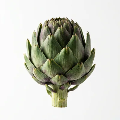 Fresh Whole Globe Artichoke Isolated On White Background