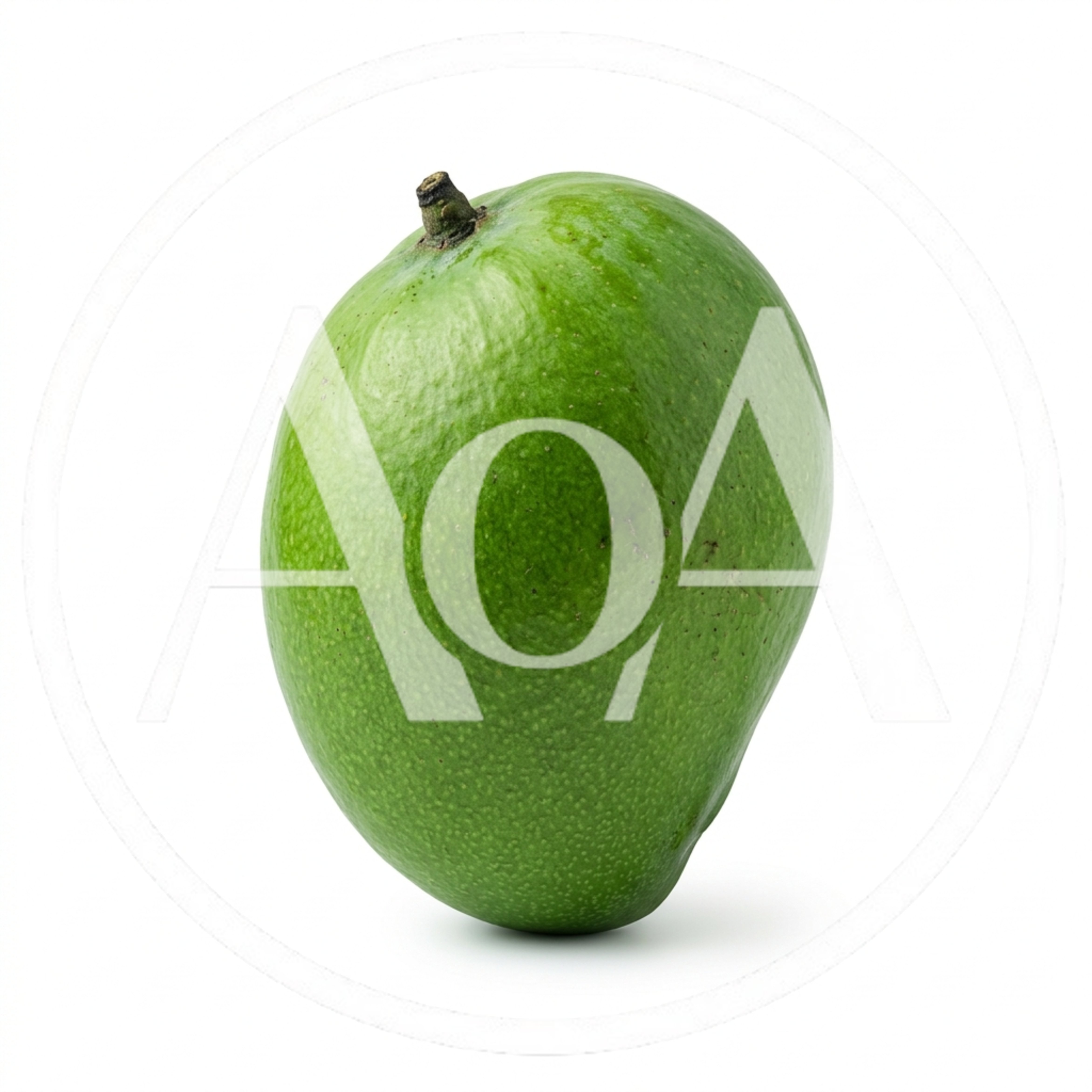 Single Fresh Green Mango Fruit Isolated On White Background