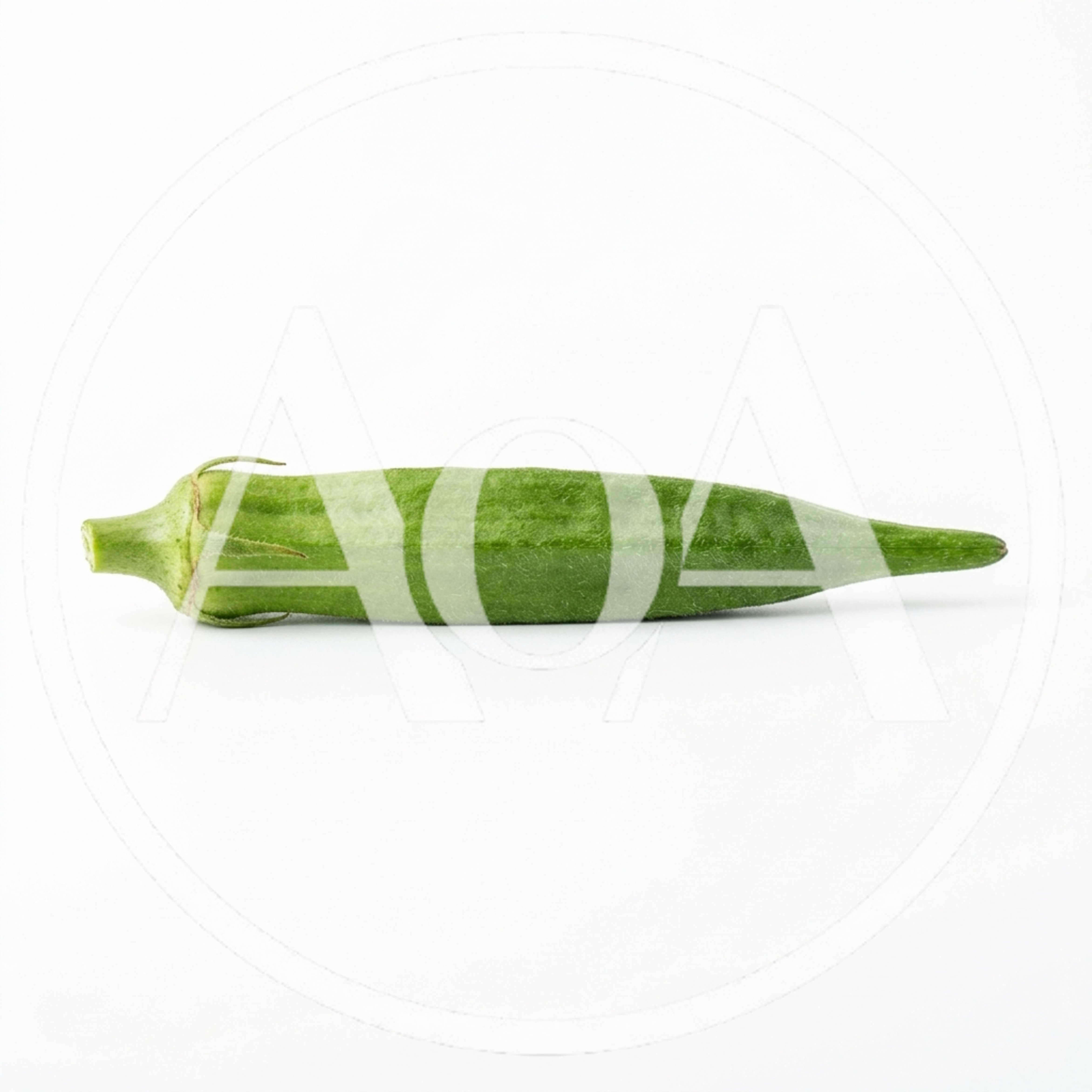 Single Fresh Green Okra Pod Isolated On White