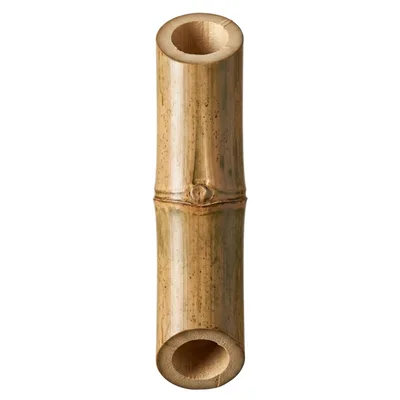 Single Segment Of Natural Bamboo Stalk