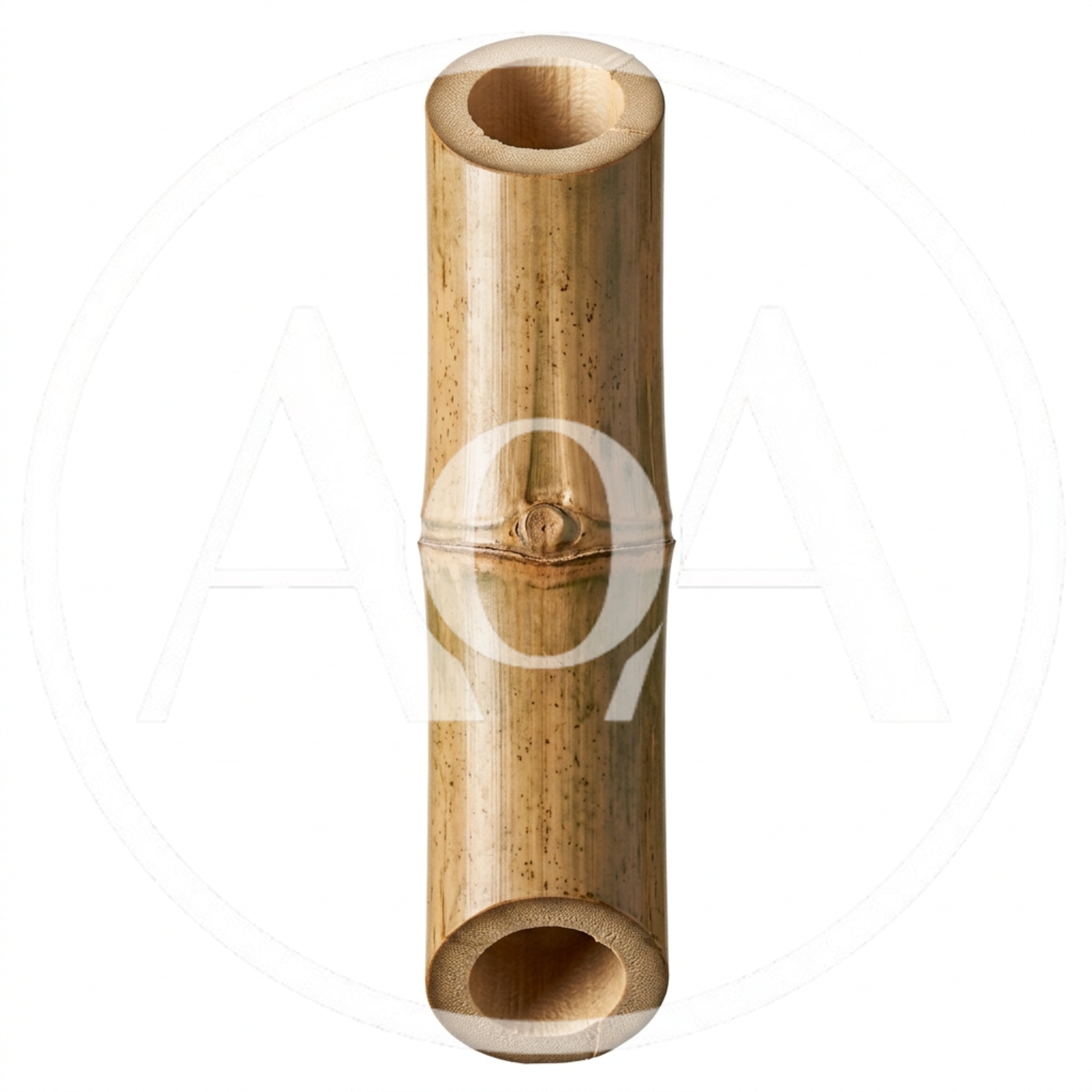 Single Segment Of Natural Bamboo Stalk