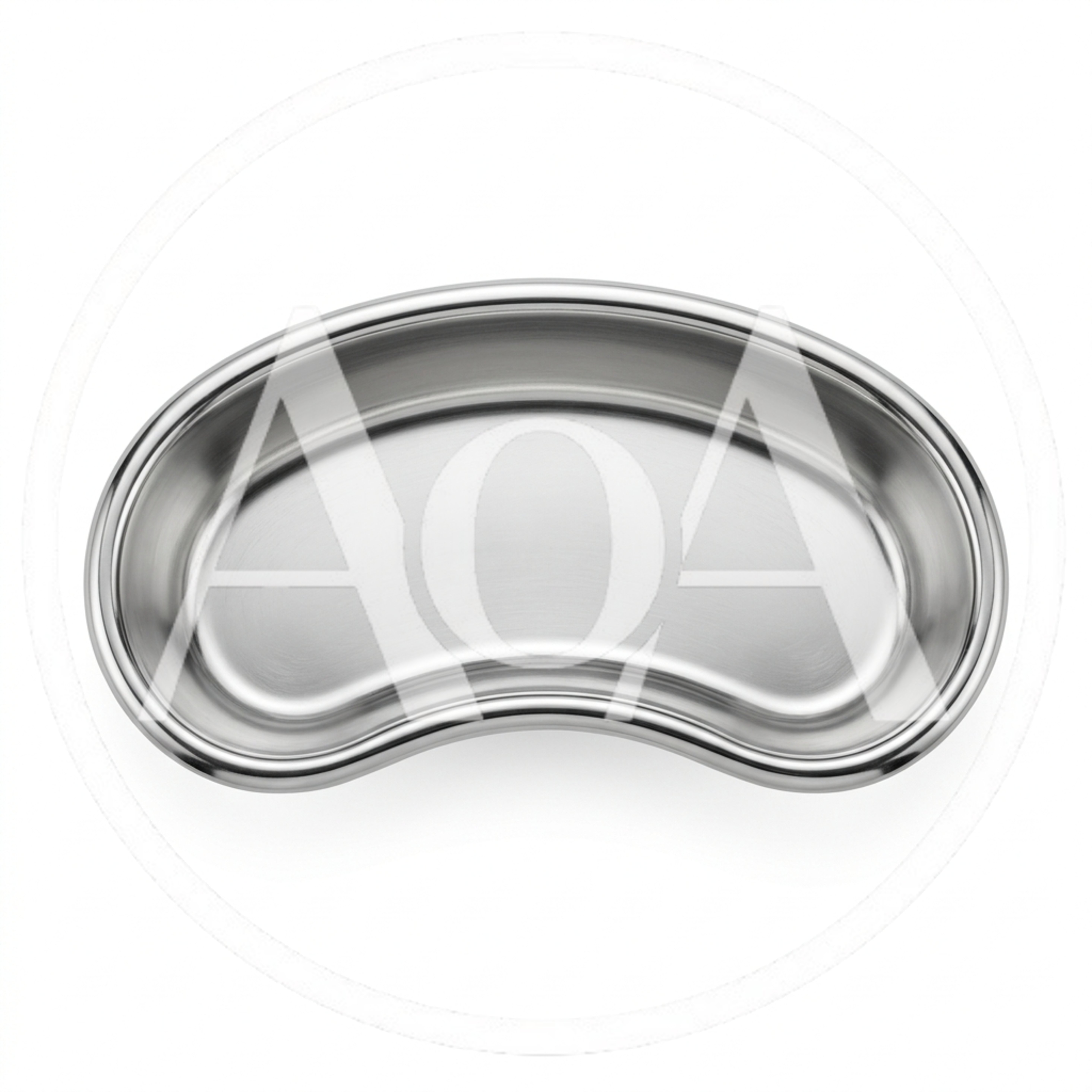 Stainless Steel Kidney Dish On White Background
