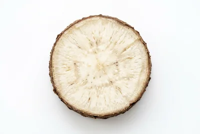 Cross Section Of A Fresh Jicama Root