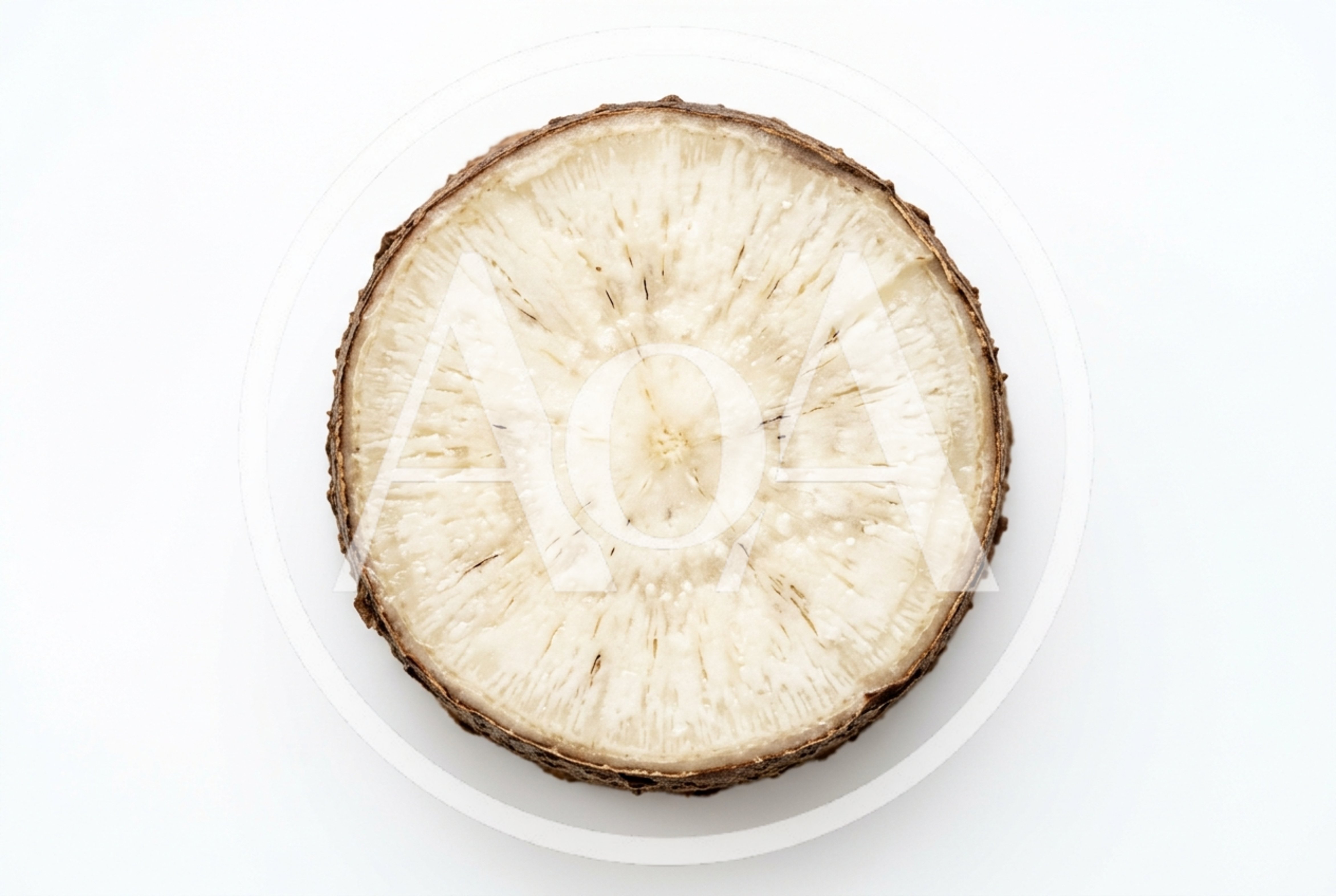 Cross Section Of A Fresh Jicama Root