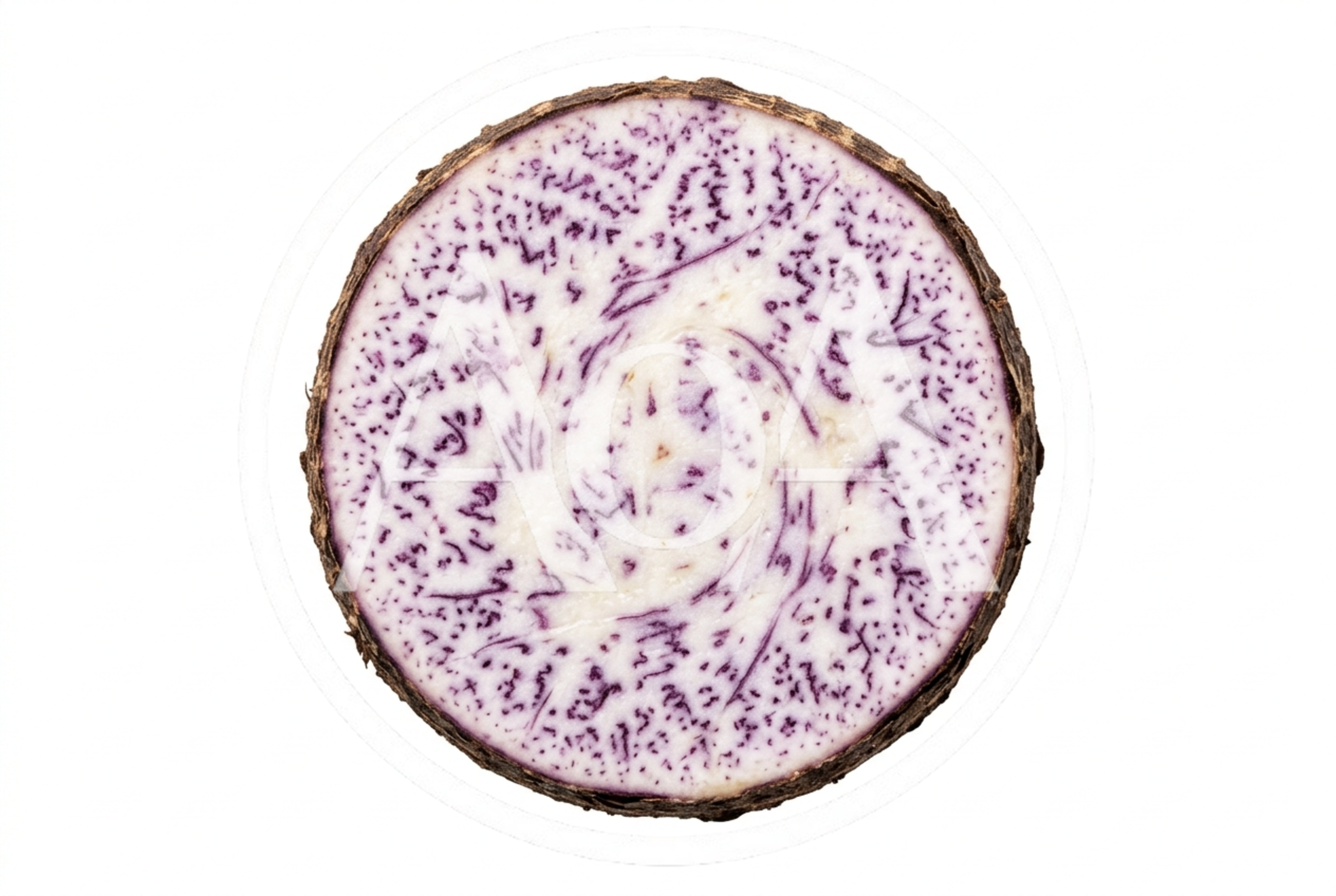 Cross Section Of A Fresh Purple Taro Root