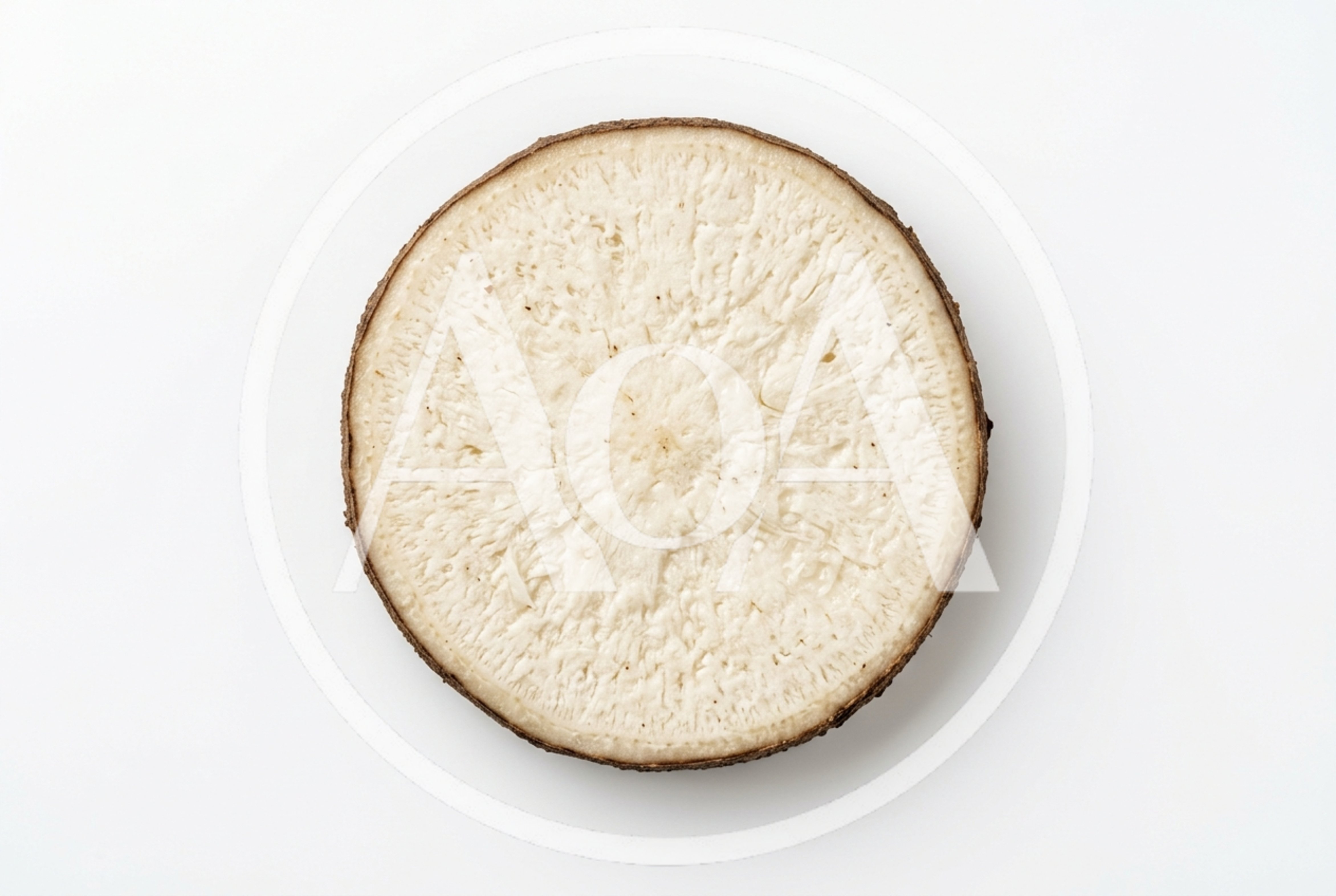 Cross Section Of A Raw Cassava Root