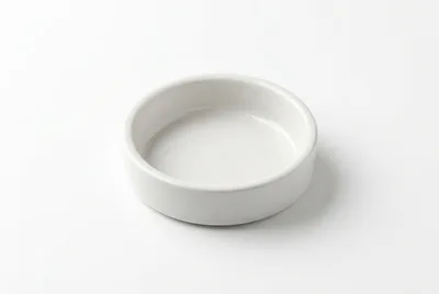 Empty White Ceramic Pet Bowl