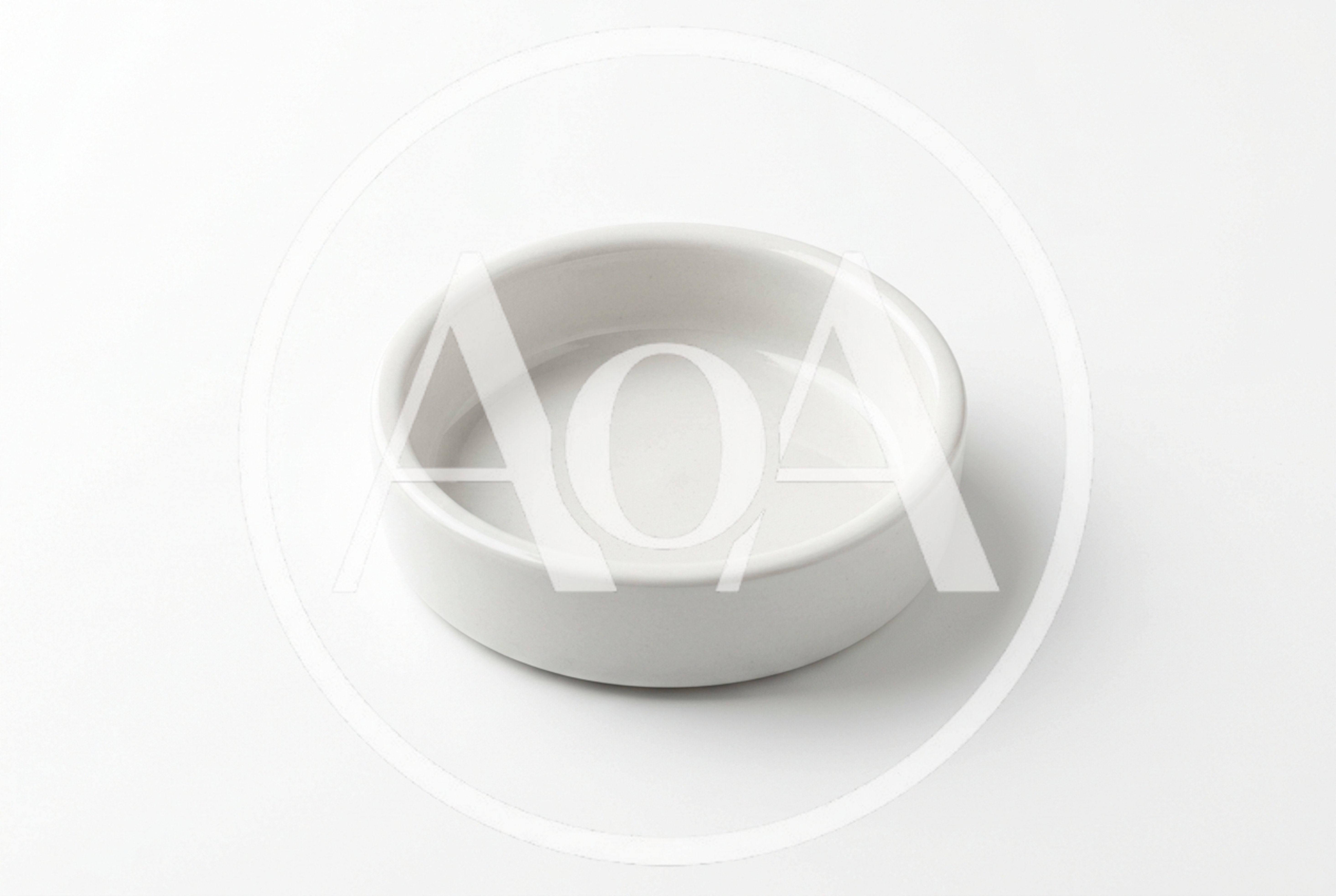 Empty White Ceramic Pet Bowl