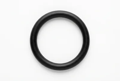 Black Rubber O-Ring Seal Isolated On White Background