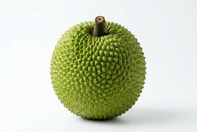 Fresh Whole Breadfruit Isolated On White Background