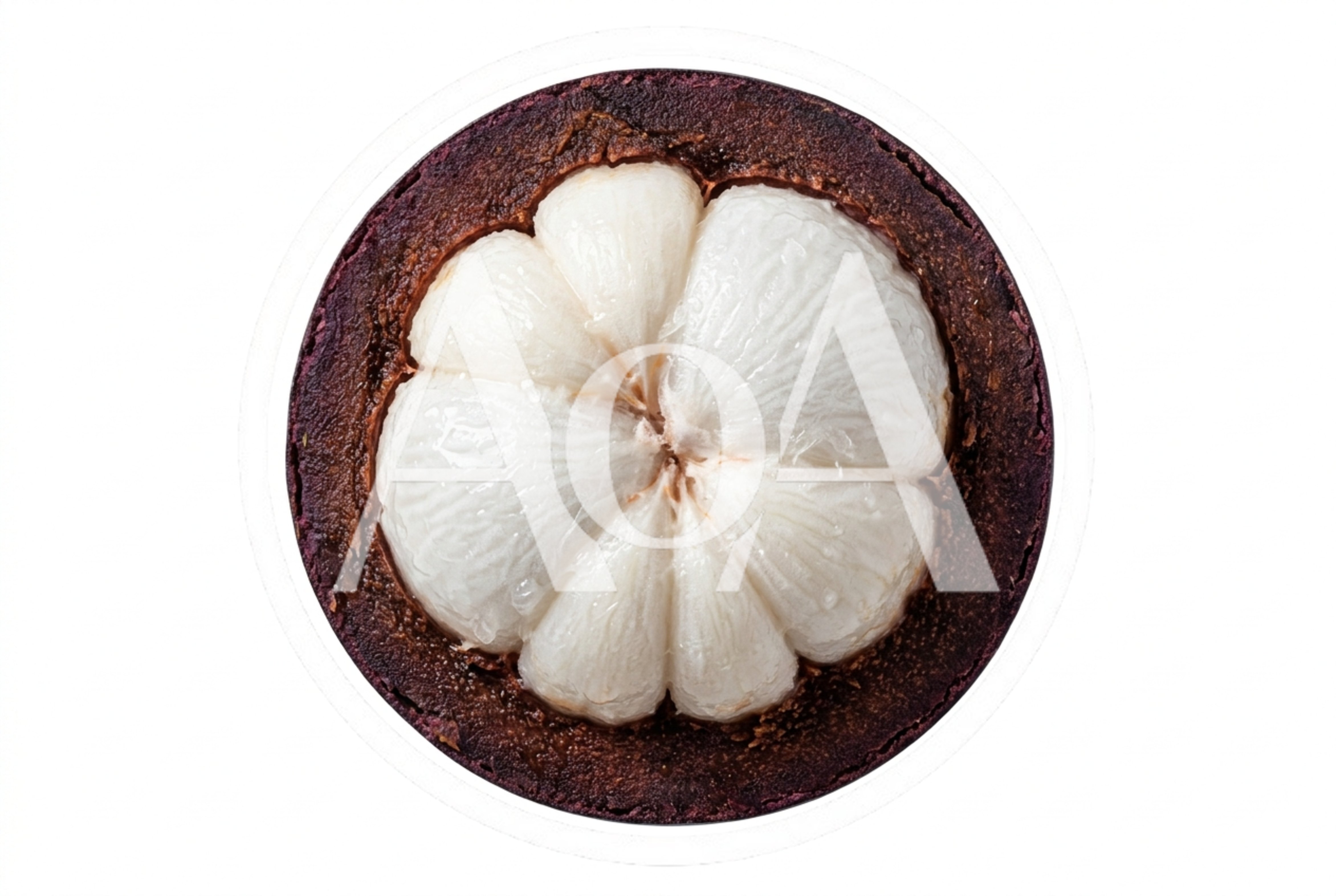 Cross Section Of A Fresh Purple Mangosteen Fruit