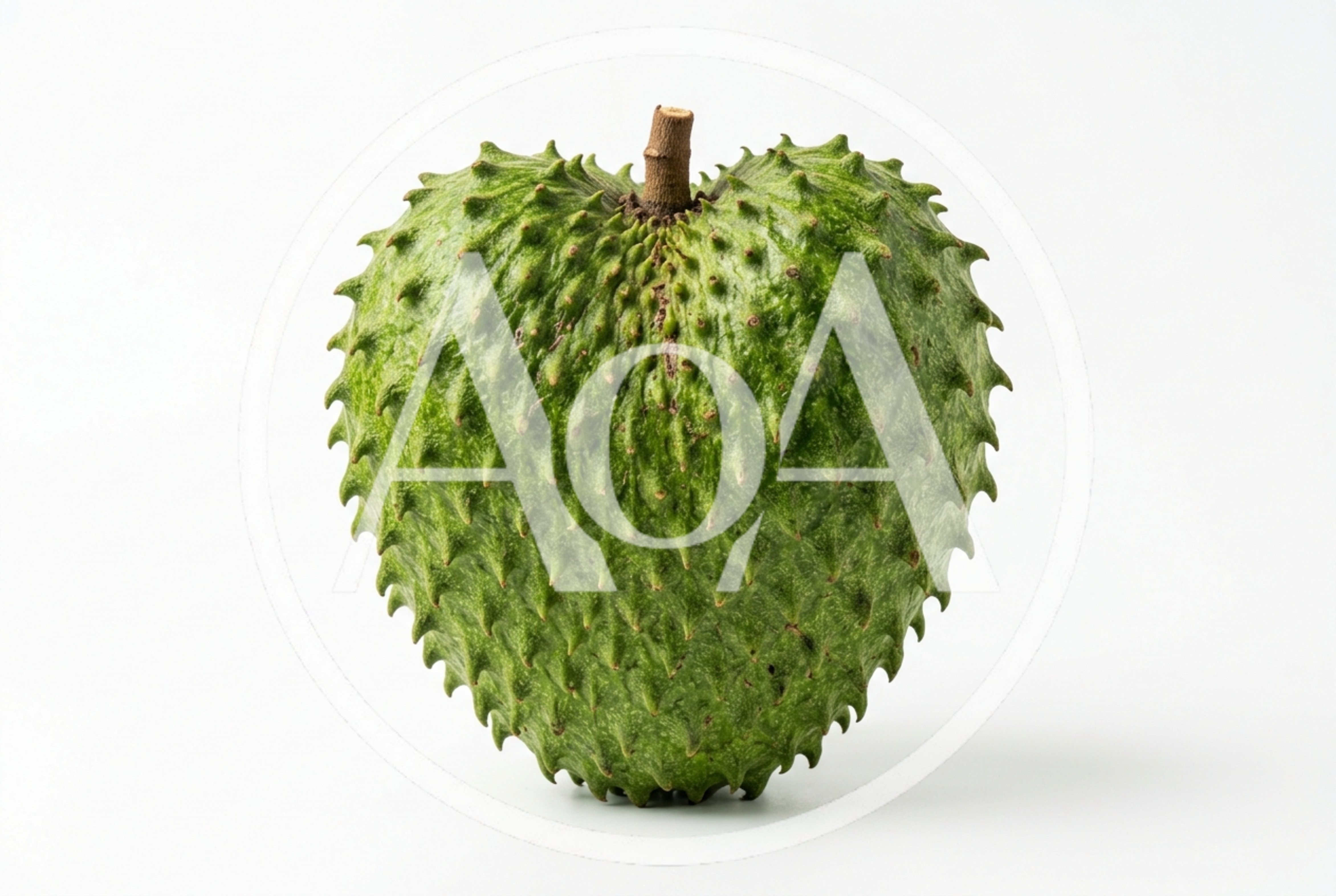 Fresh Green Soursop Fruit Isolated On White Background