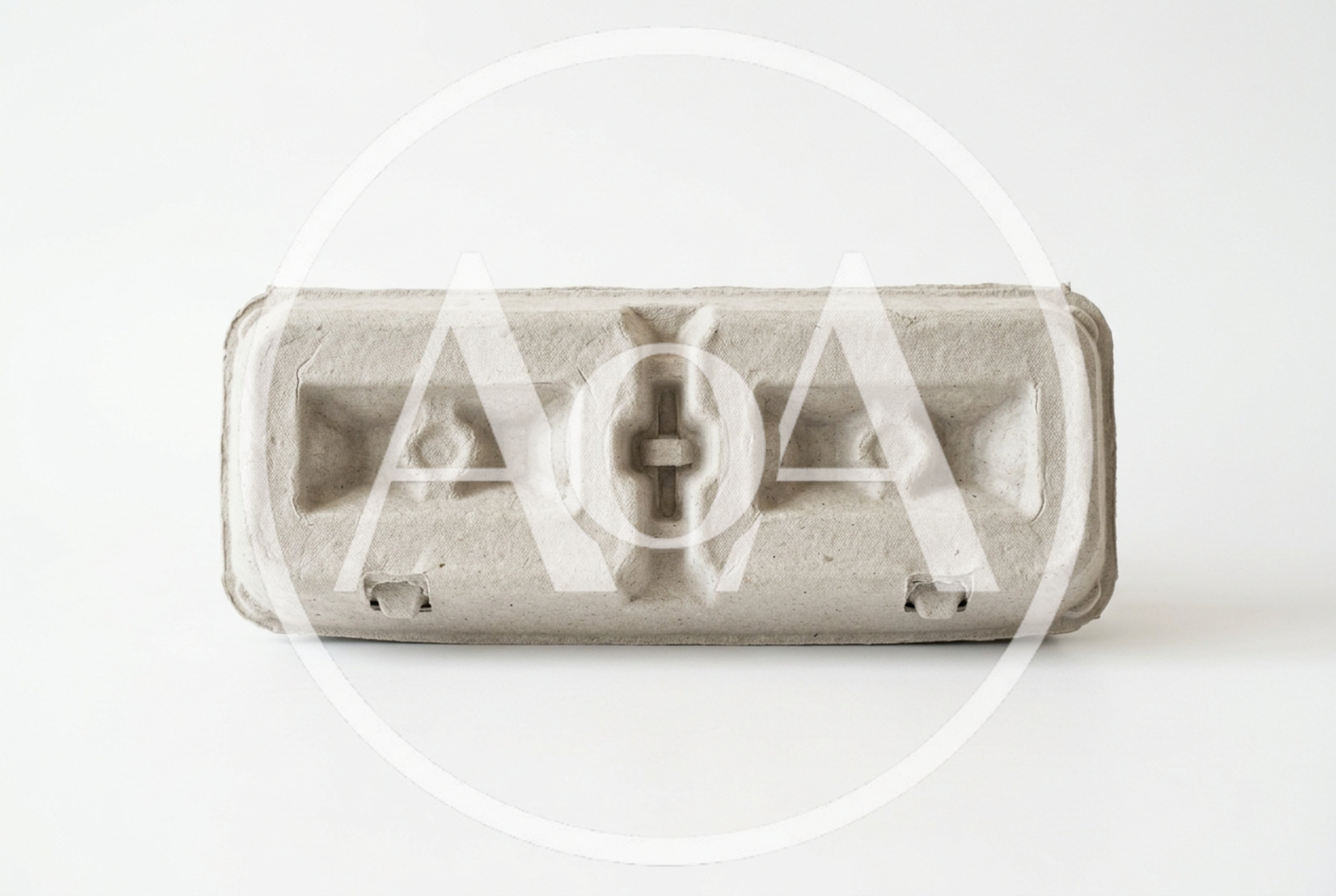 Empty Recycled Paper Egg Carton On White Background