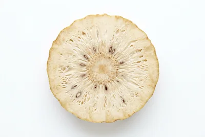 Cross Section Of A Fresh Breadfruit