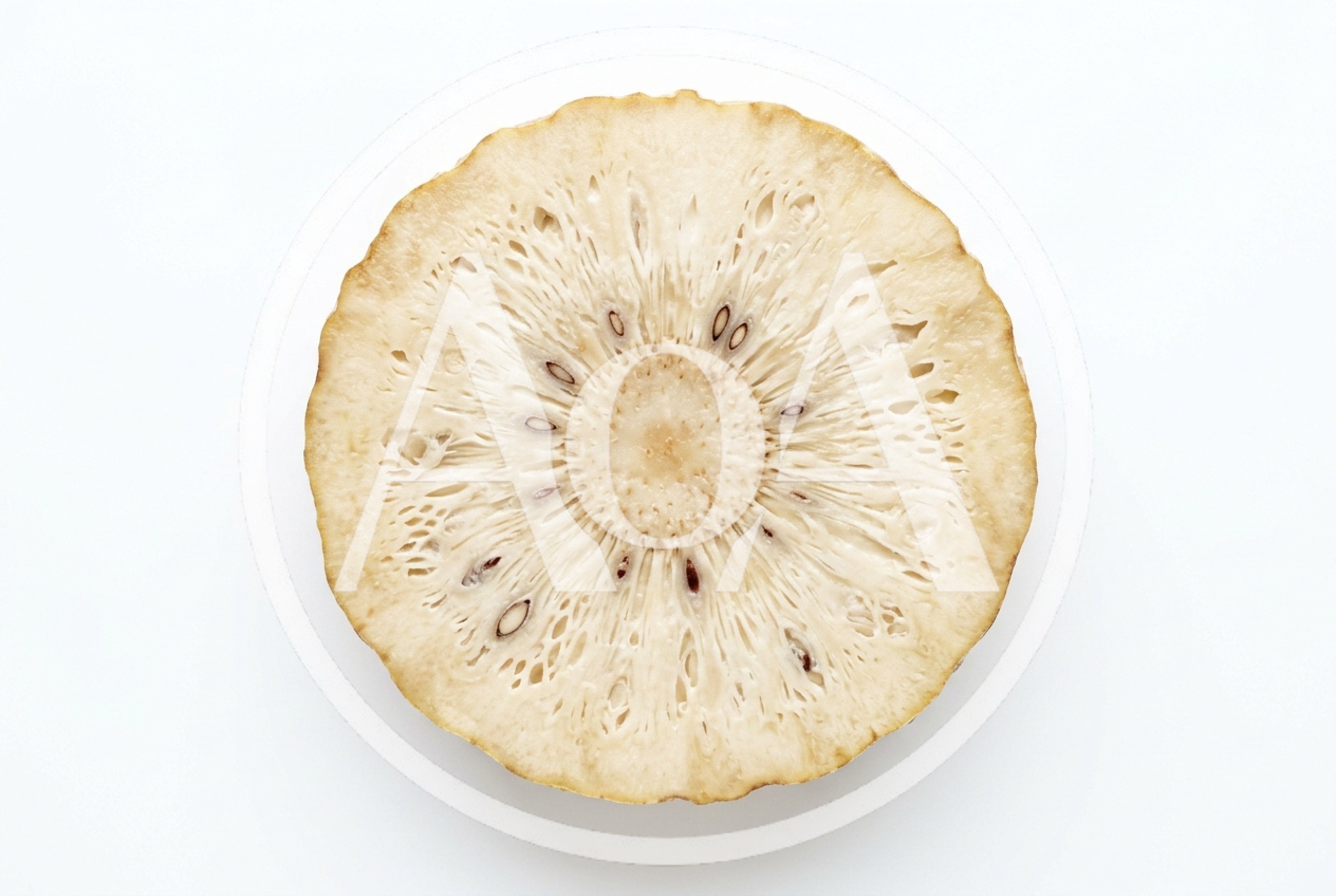 Cross Section Of A Fresh Breadfruit