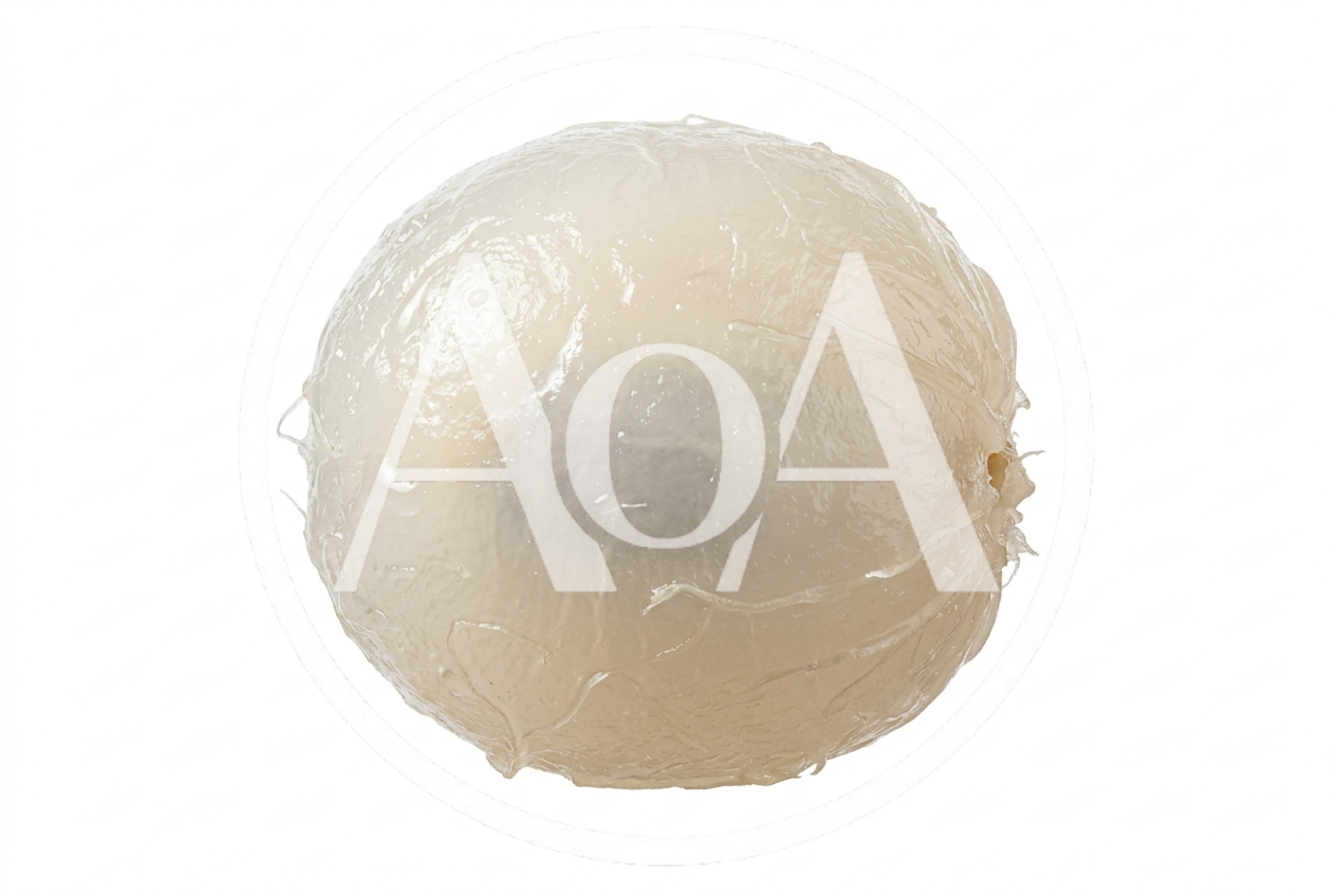 Peeled Lychee Fruit Isolated On White Background