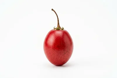 Single Fresh Red Tamarillo Fruit on White Background