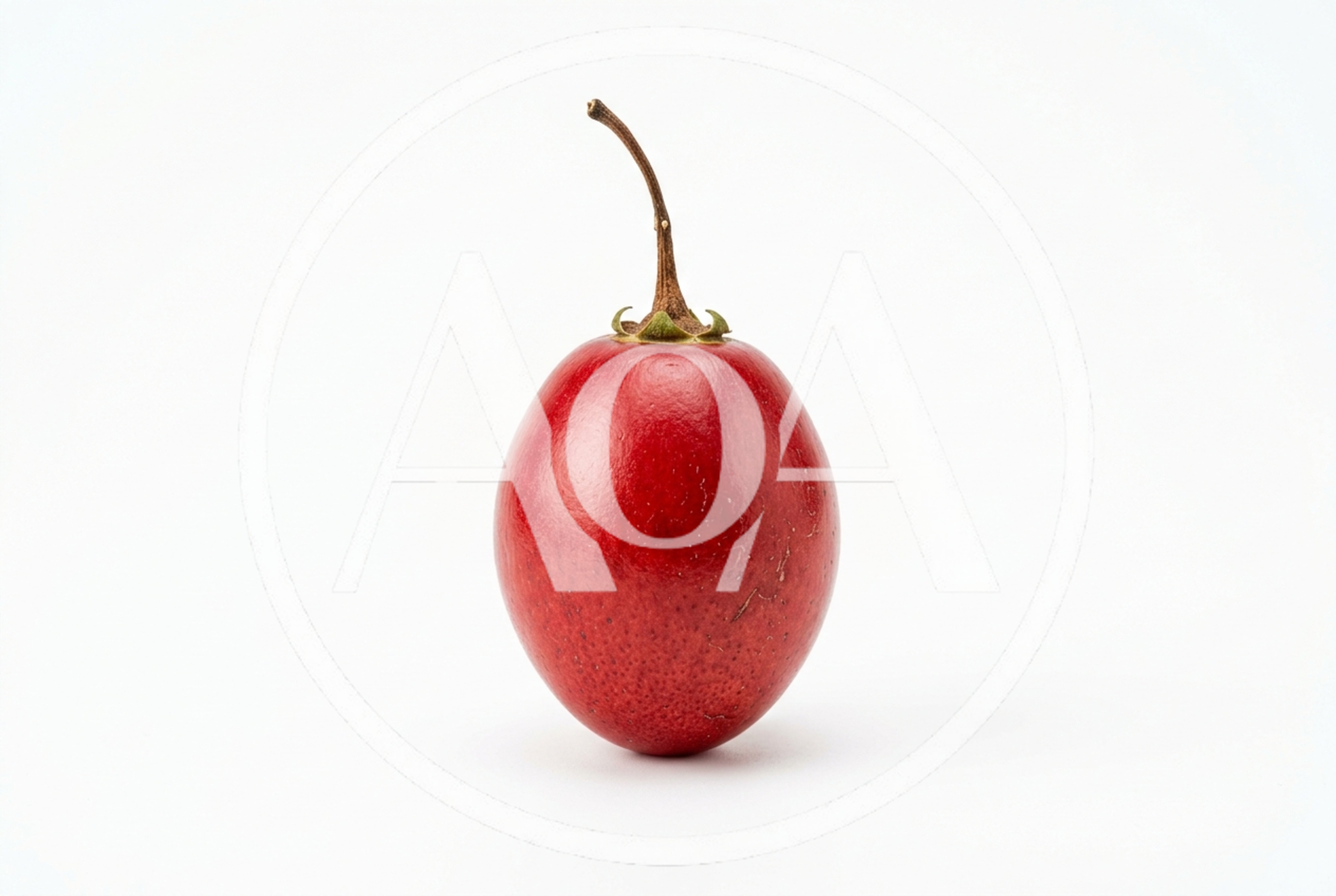 Single Fresh Red Tamarillo Fruit on White Background