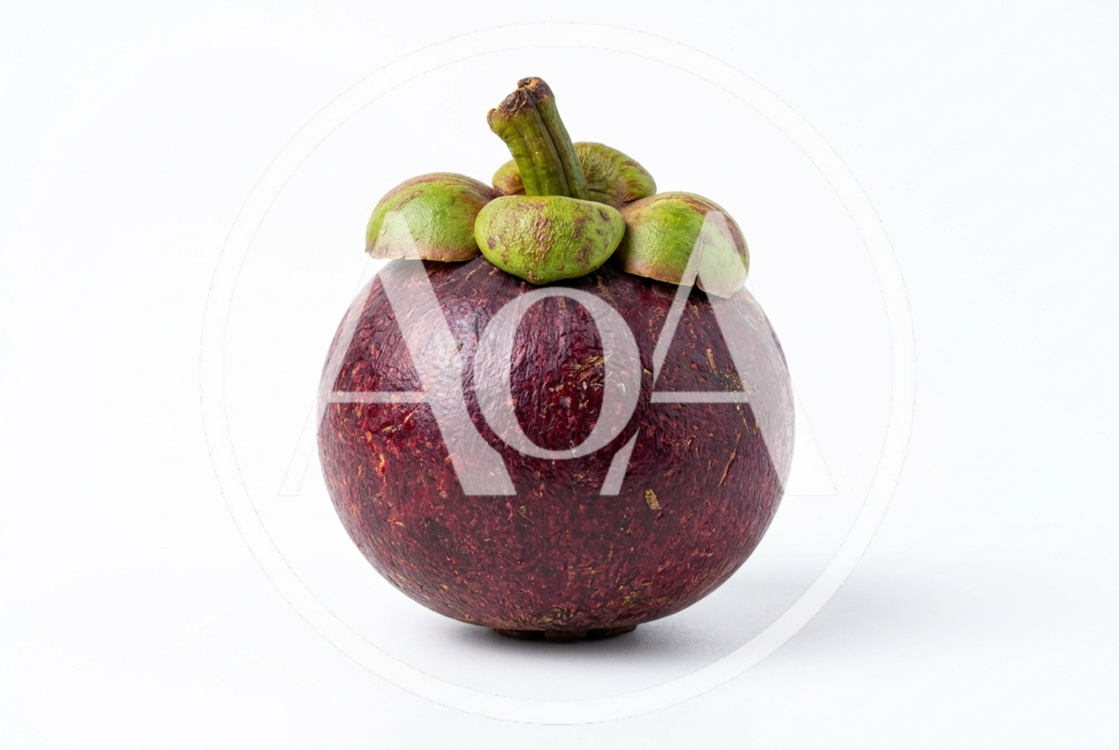 Single Fresh Purple Mangosteen Fruit Isolated On White