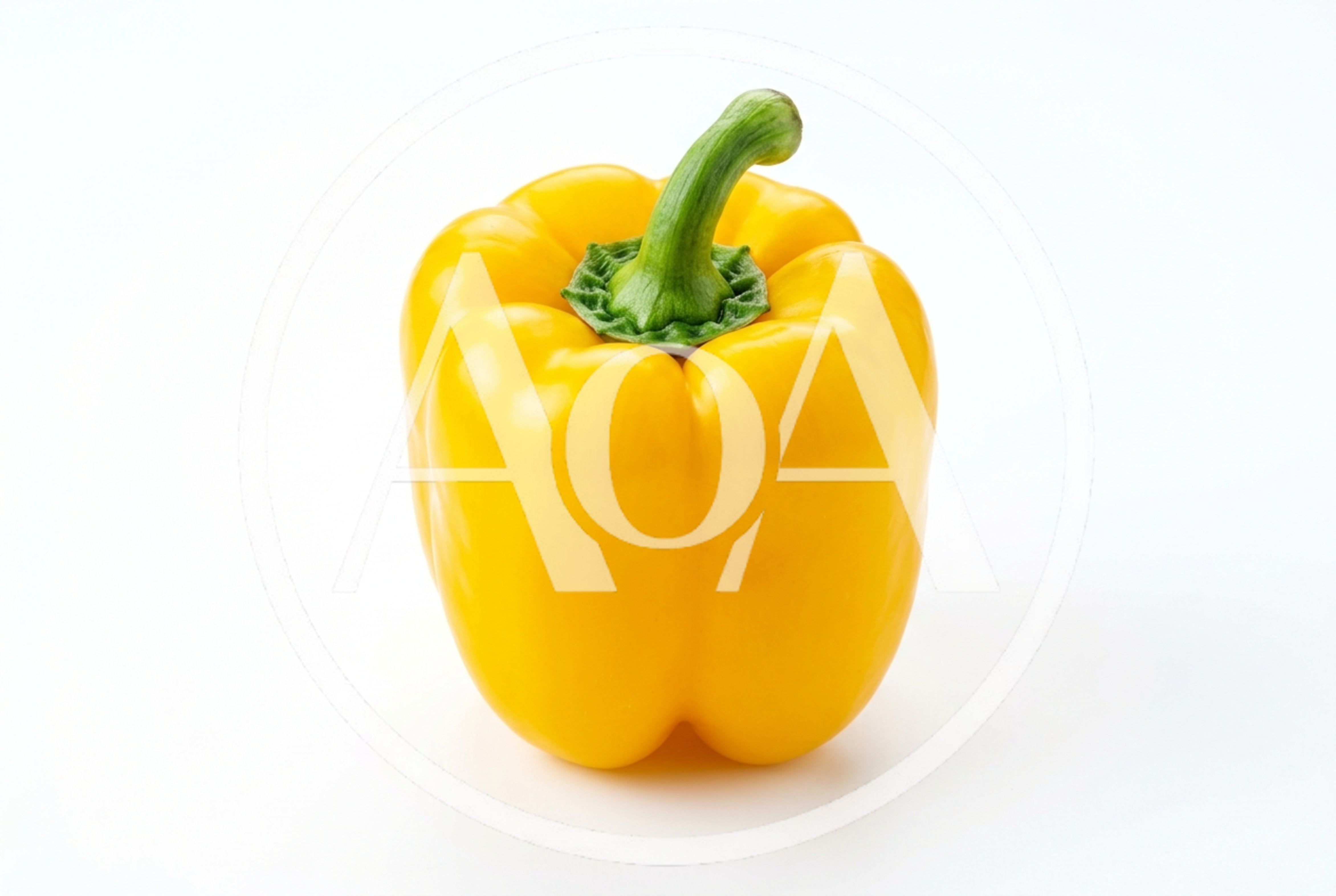 Single Fresh Yellow Bell Pepper Isolated On White