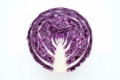 Cross Section Of A Fresh Red Cabbage