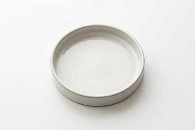 Minimalist White Ceramic Plate on White Background